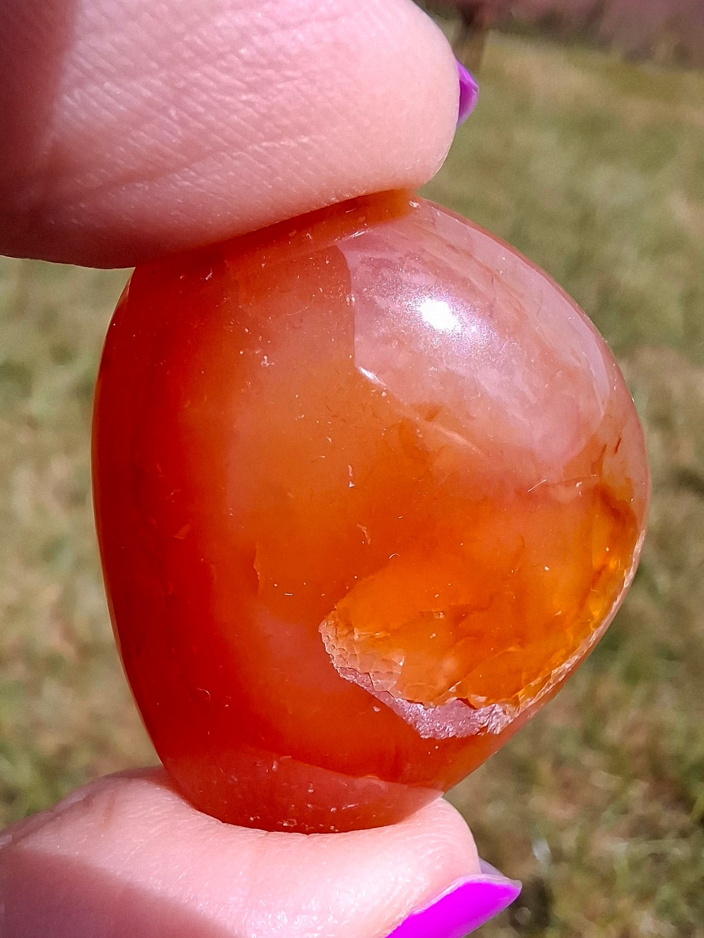 Carnelian, Tumble Stone, Crystal (Ref: T62)