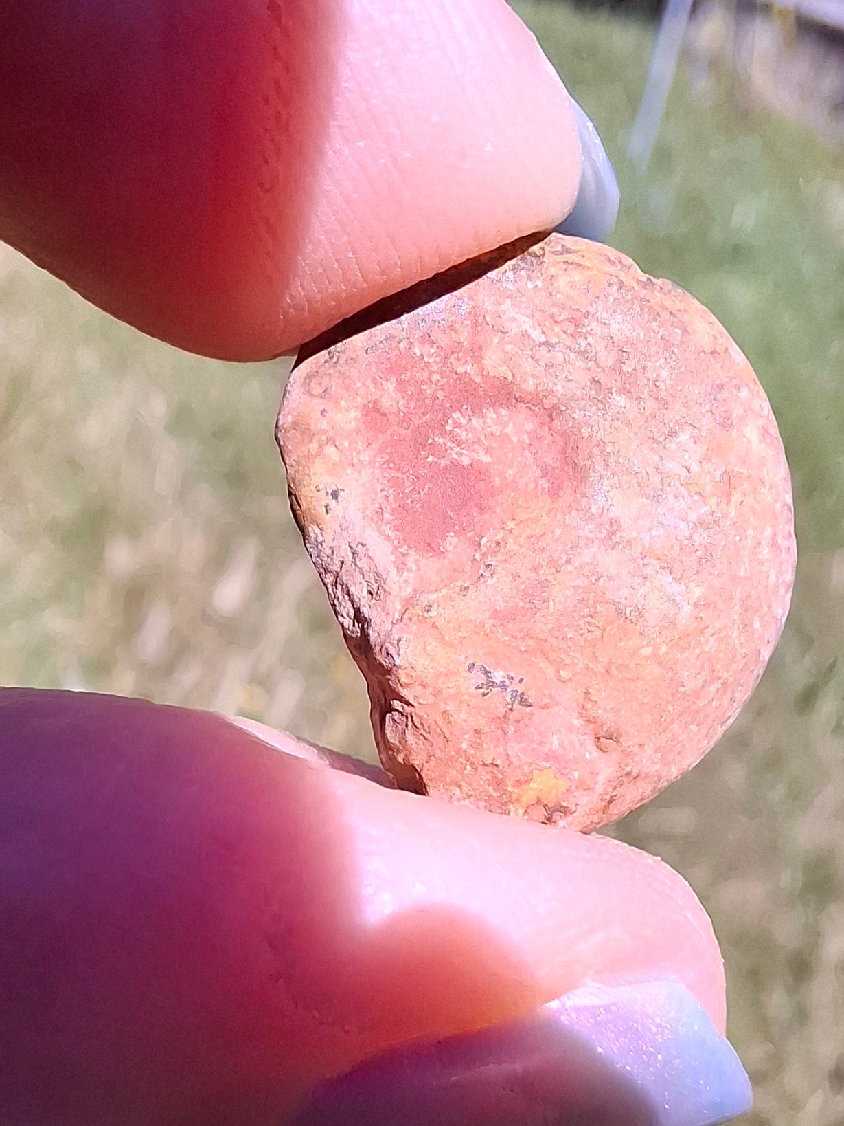 Small Haematite Ammonite Halves BUNDLE, (7 pcs), Fossil (Ref: MA13)