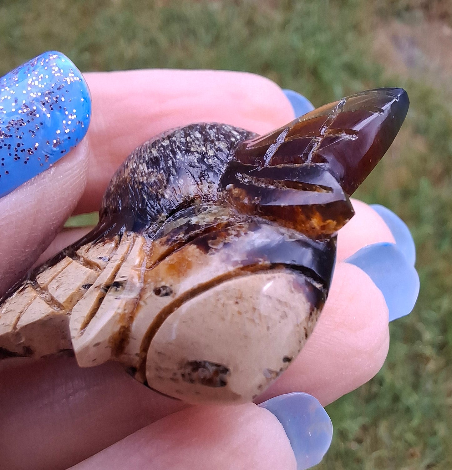 Red Amber Honey Bee Carving, 7.00g, Fossil (Ref: Bee31)