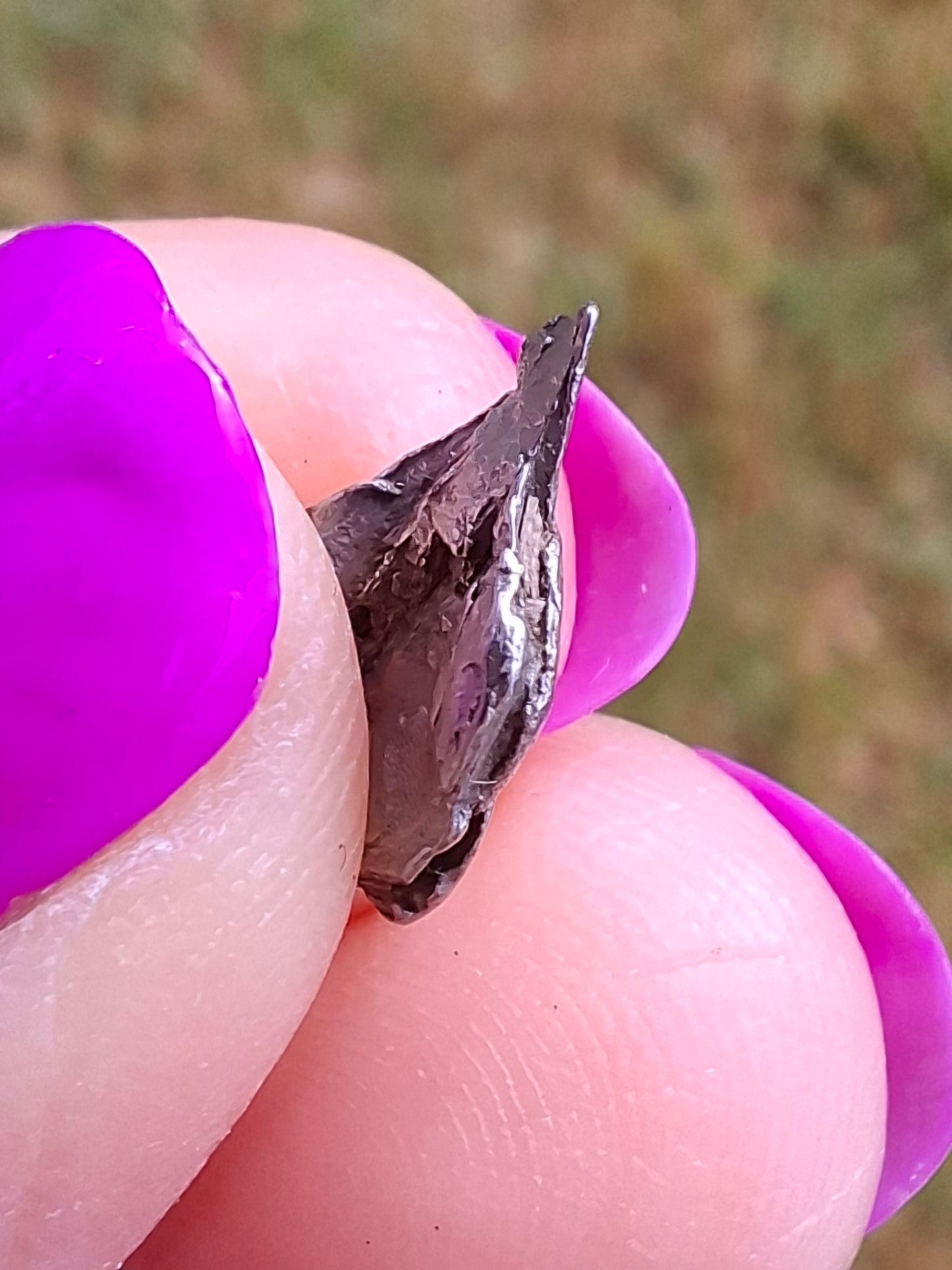 Campo del Cielo, 0.55g, Nickel Iron Meteorite (Ref: C3)