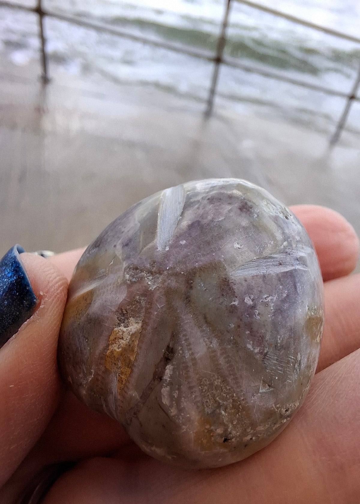 Polished Sea Urchin, Fossil (Ref: SU6)