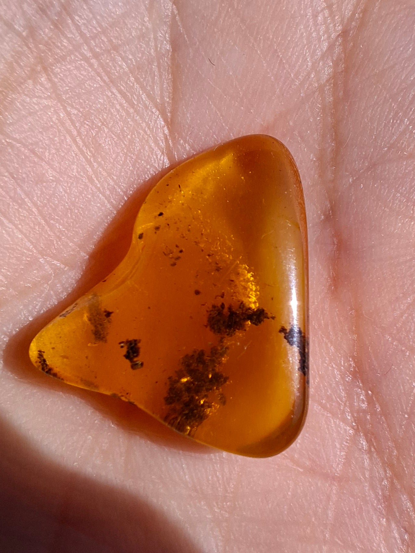 Baltic Amber, 0.91g, Fossil (Ref: A240)