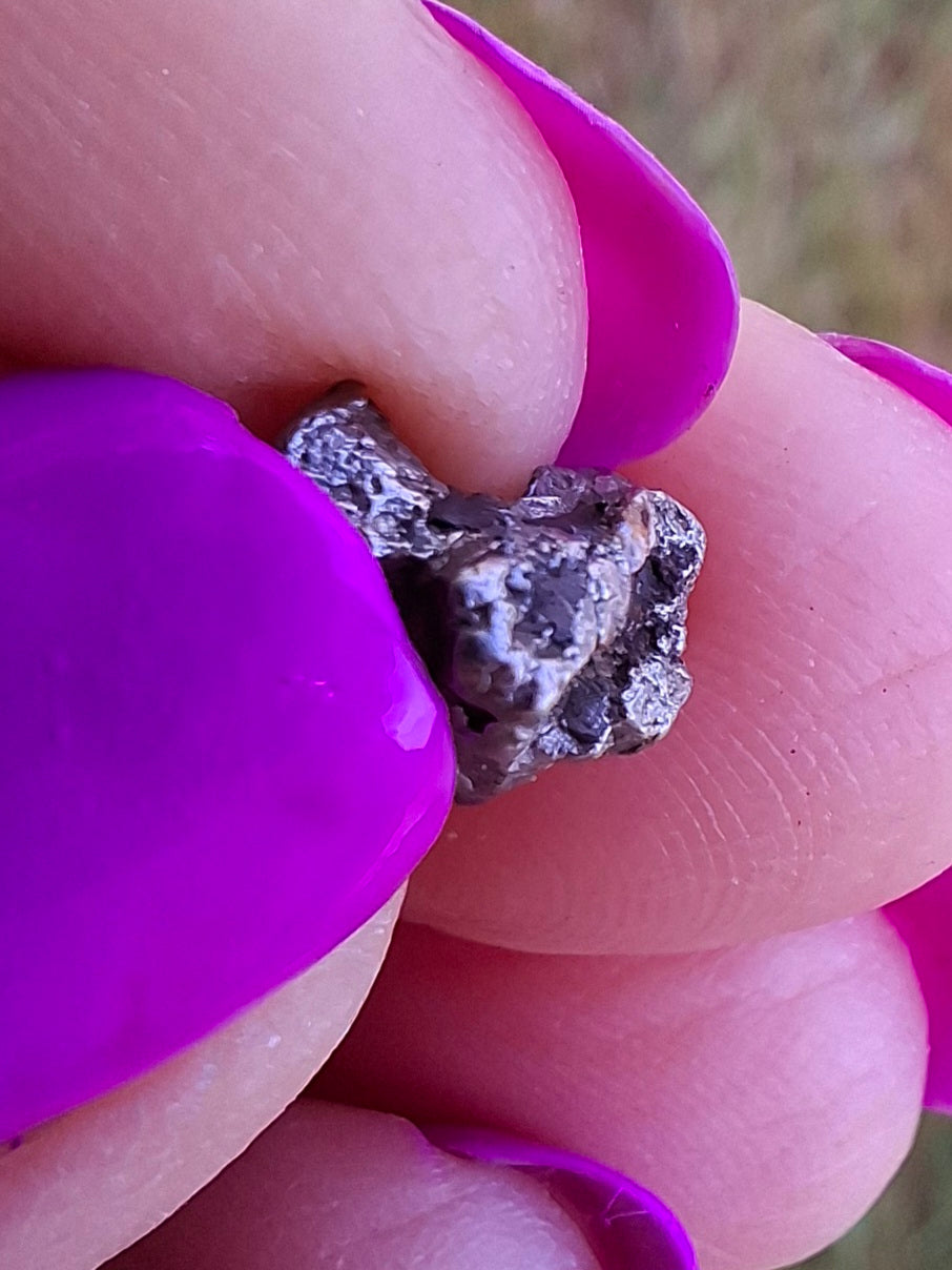 Campo del Cielo, 1.18g, Nickel Iron Meteorite (Ref: C10)