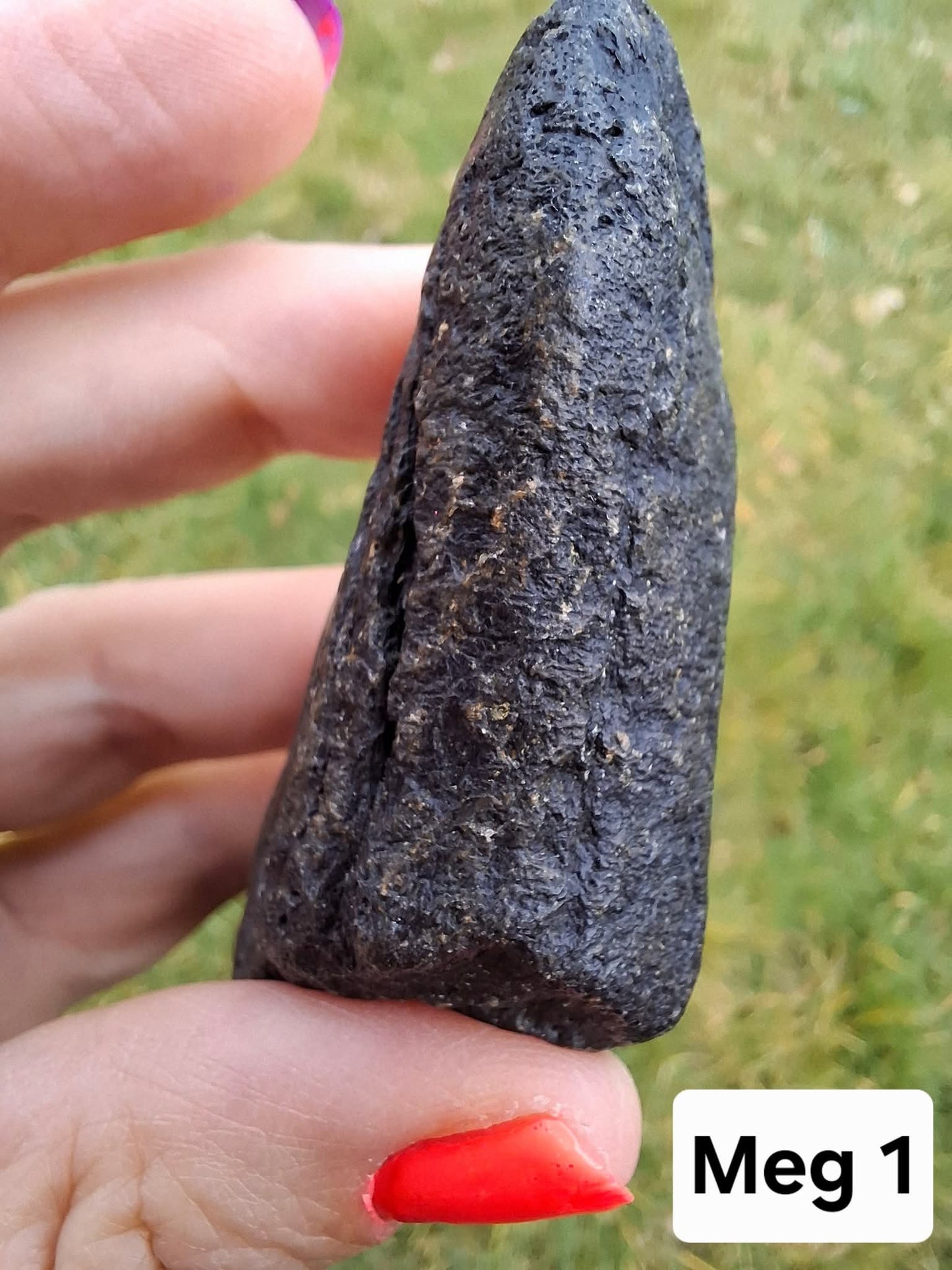 Megalodon (partial) Shark Tooth, 109.68g, Fossil (Ref: Meg1)