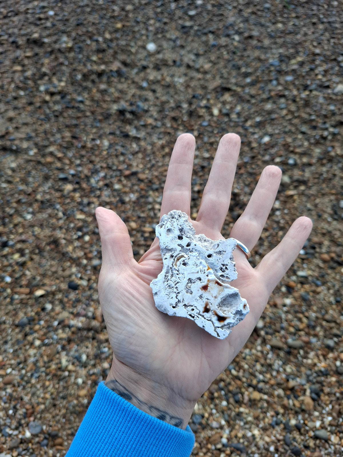 Fossilised Coral replaced by Chalcedony/Agate, Fossil (Ref: FCA1)