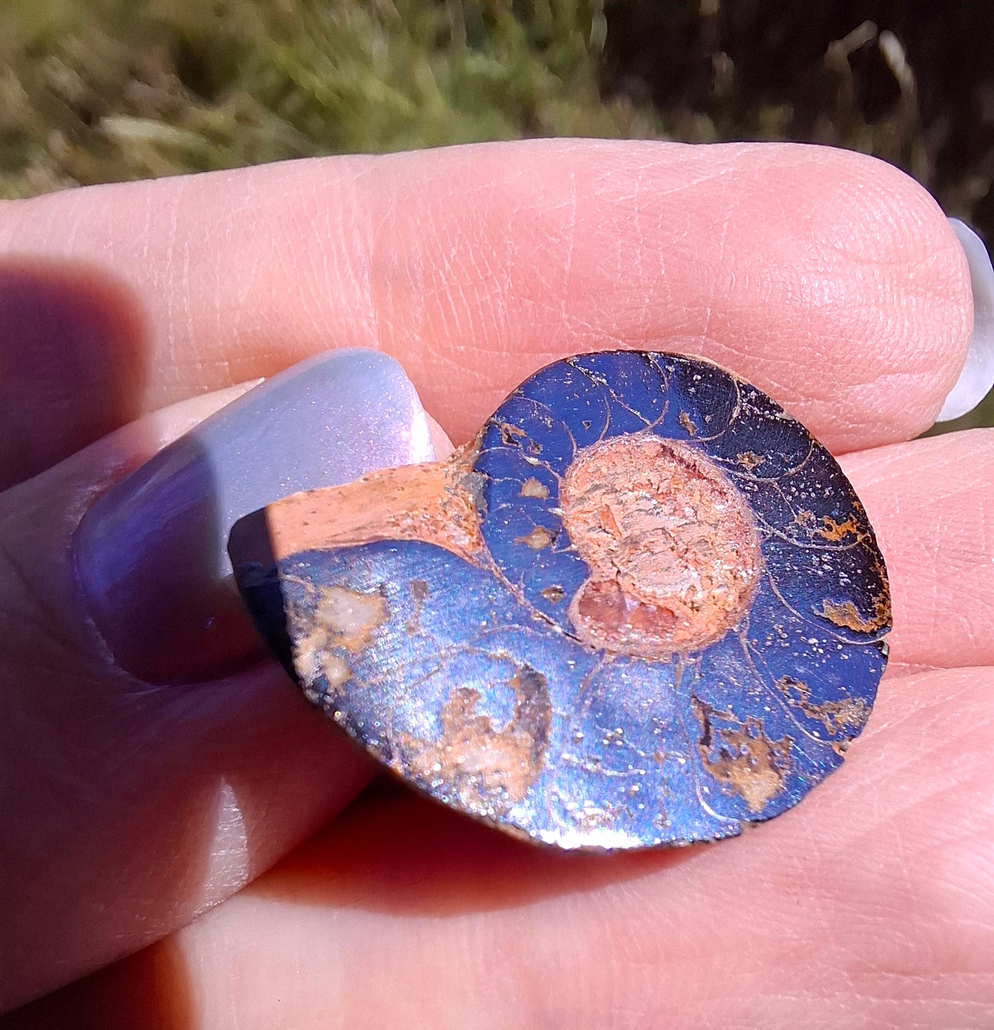 Small Haematite Ammonite HALF, (2.91g), Fossil (Ref: MA1)