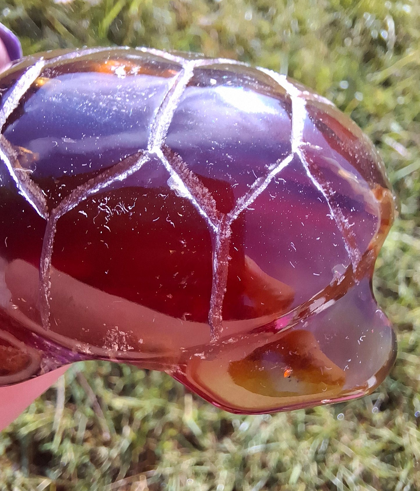Red Amber Turtle, 49.15g, Carving, Fossil (Ref: TT1)