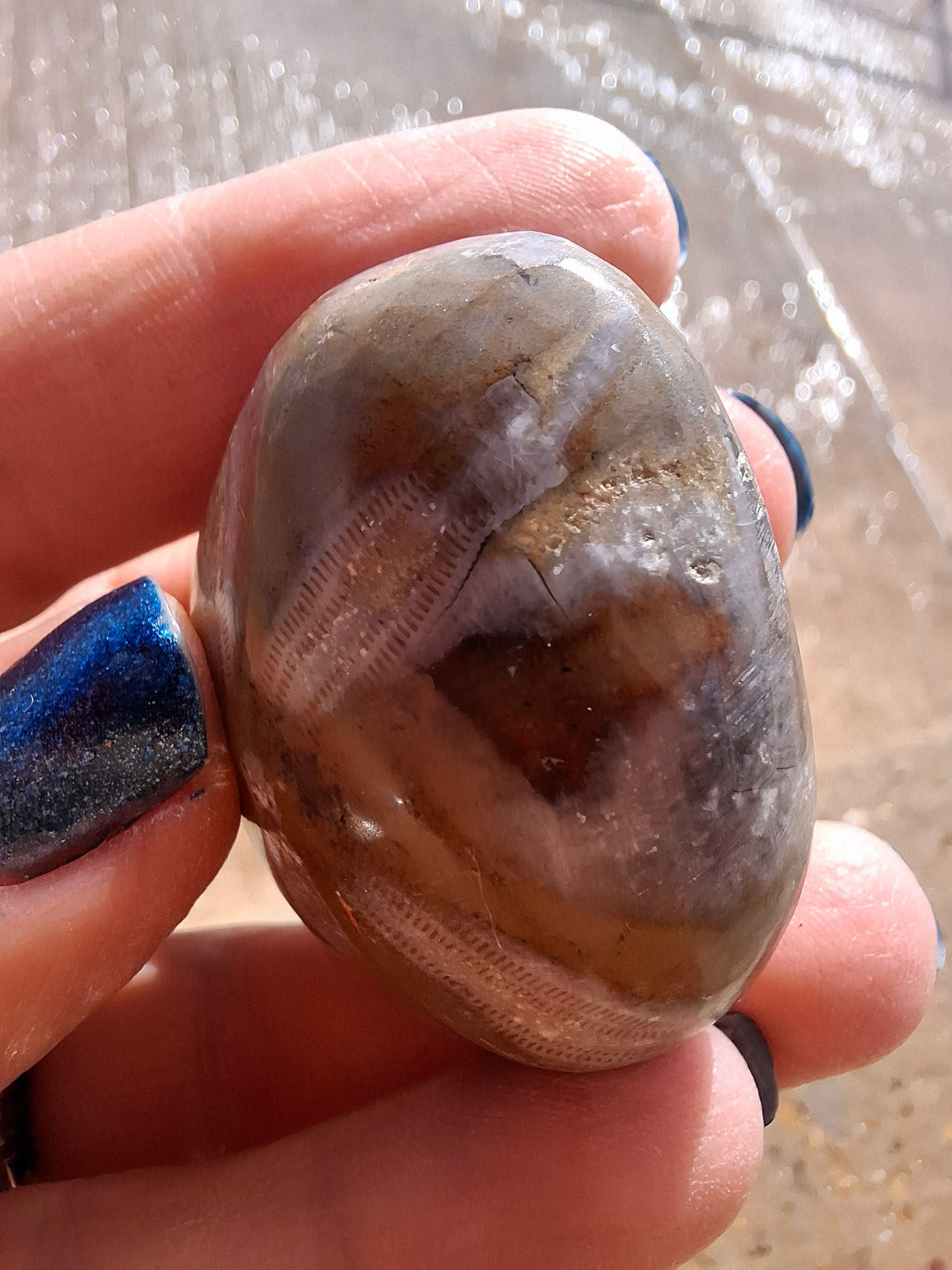 Polished Sea Urchin, Fossil (Ref: SU2)