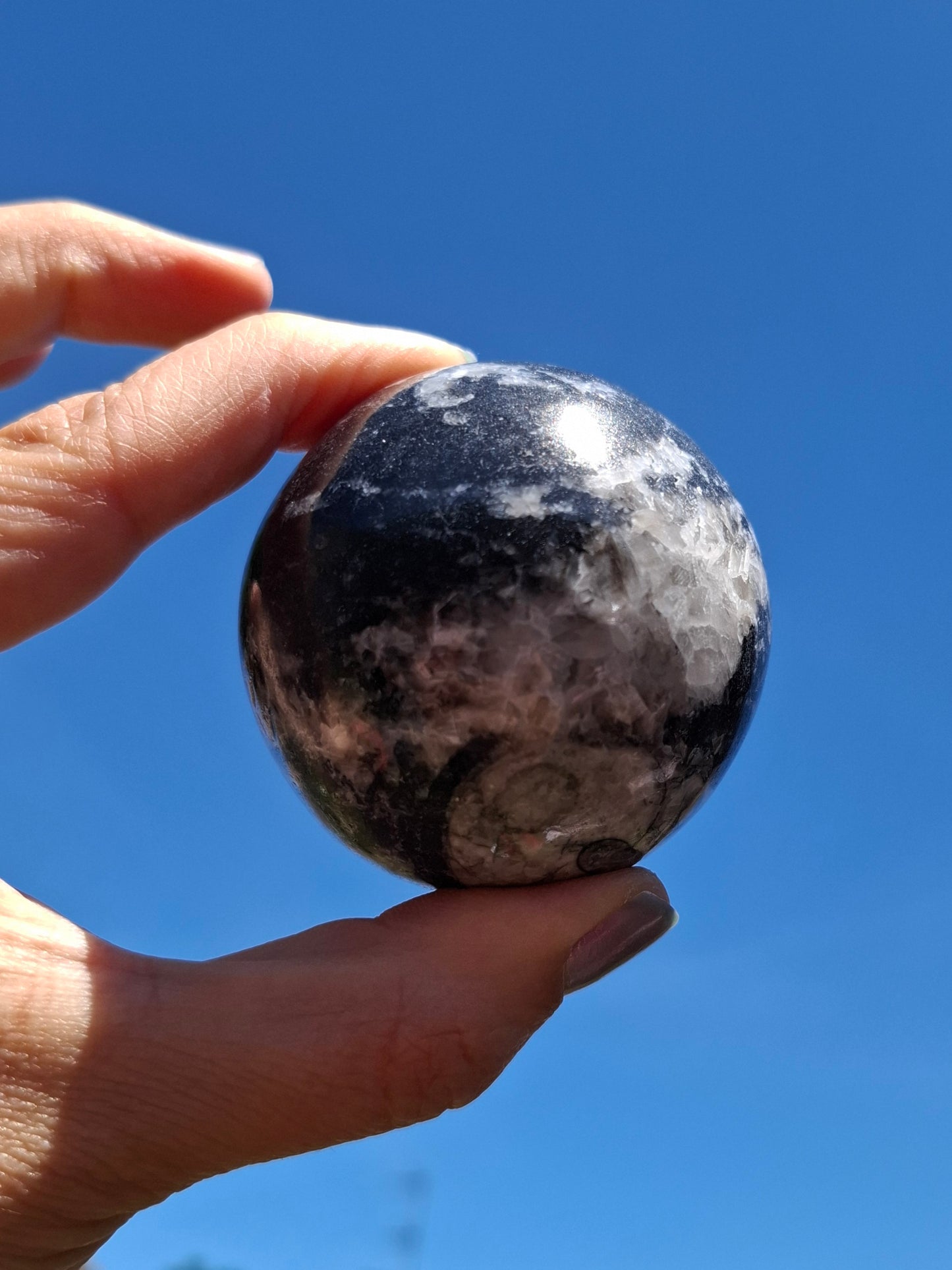 Orthoceras Sphere, Fossil (Ref: OS2)
