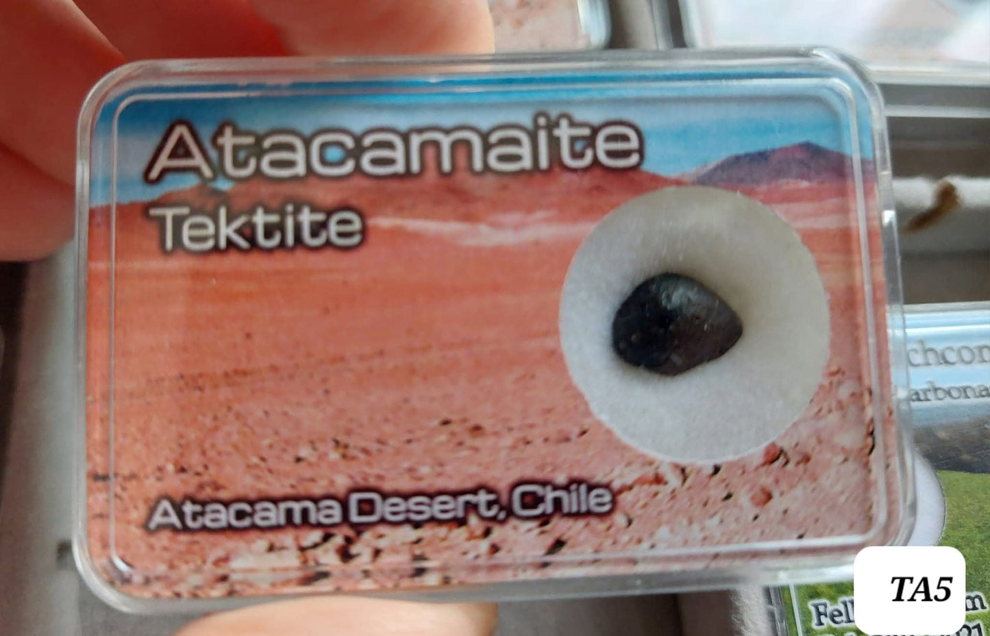 Atacamite, 0.49g, Tektite (Ref: TA5)