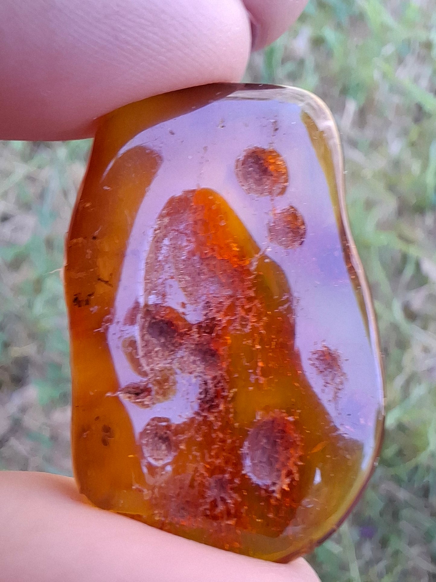 Baltic Amber, 4.50g, Fossil (Ref: A151)