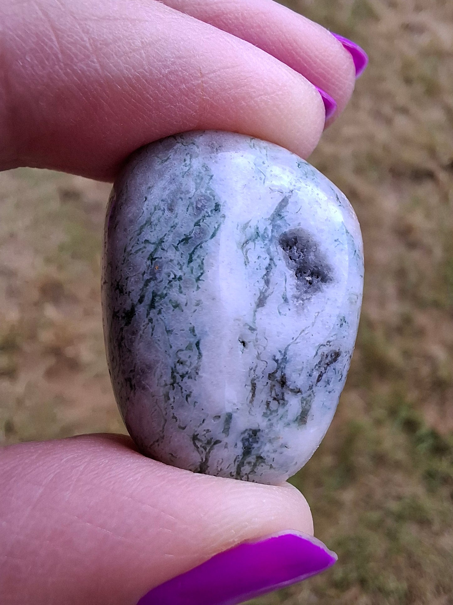 Tree Agate, Tumble Stone, Crystal (Ref: T7)