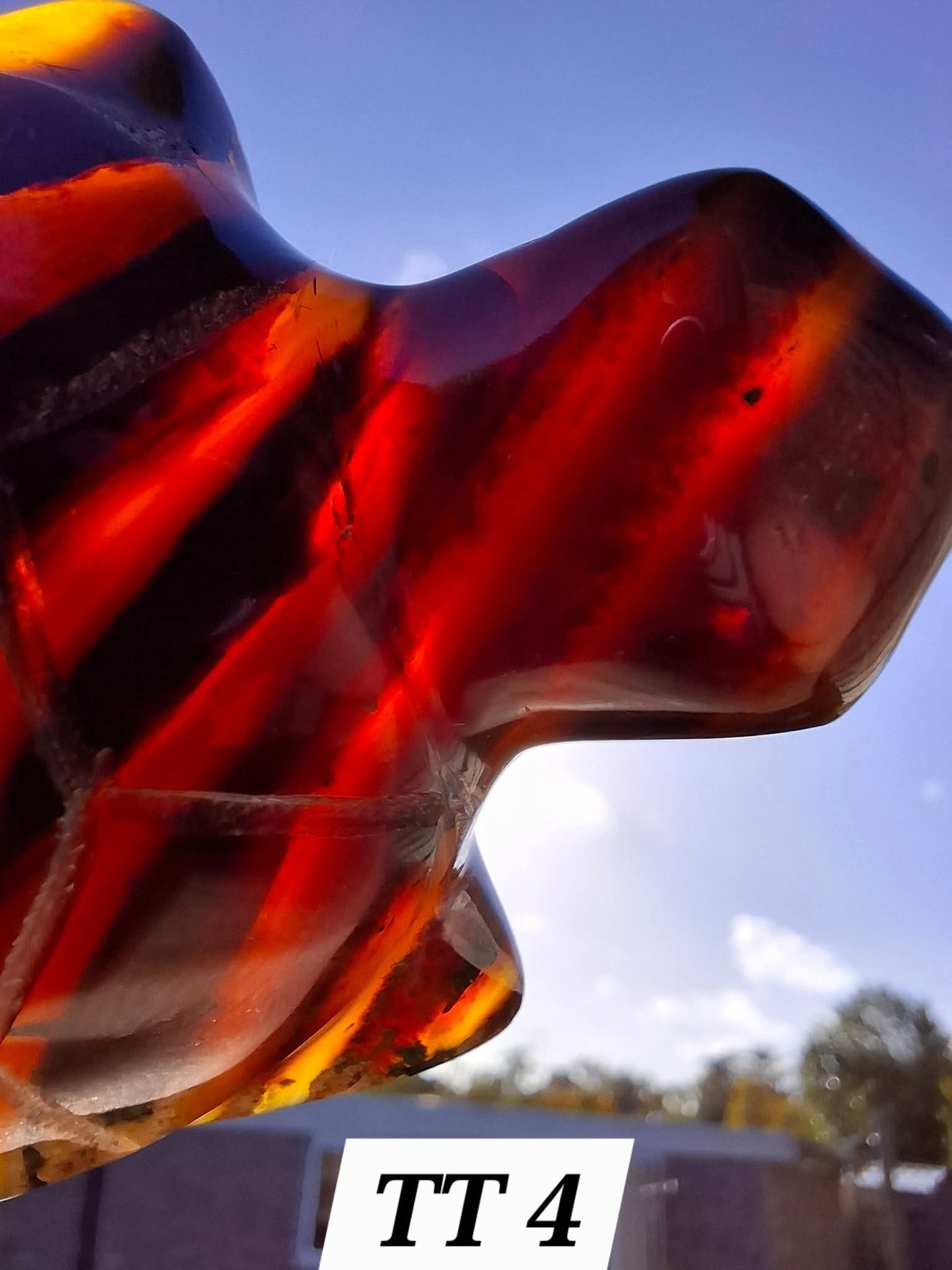 Red Amber Turtle, 47.85g, Carving, Fossil (Ref: TT4)