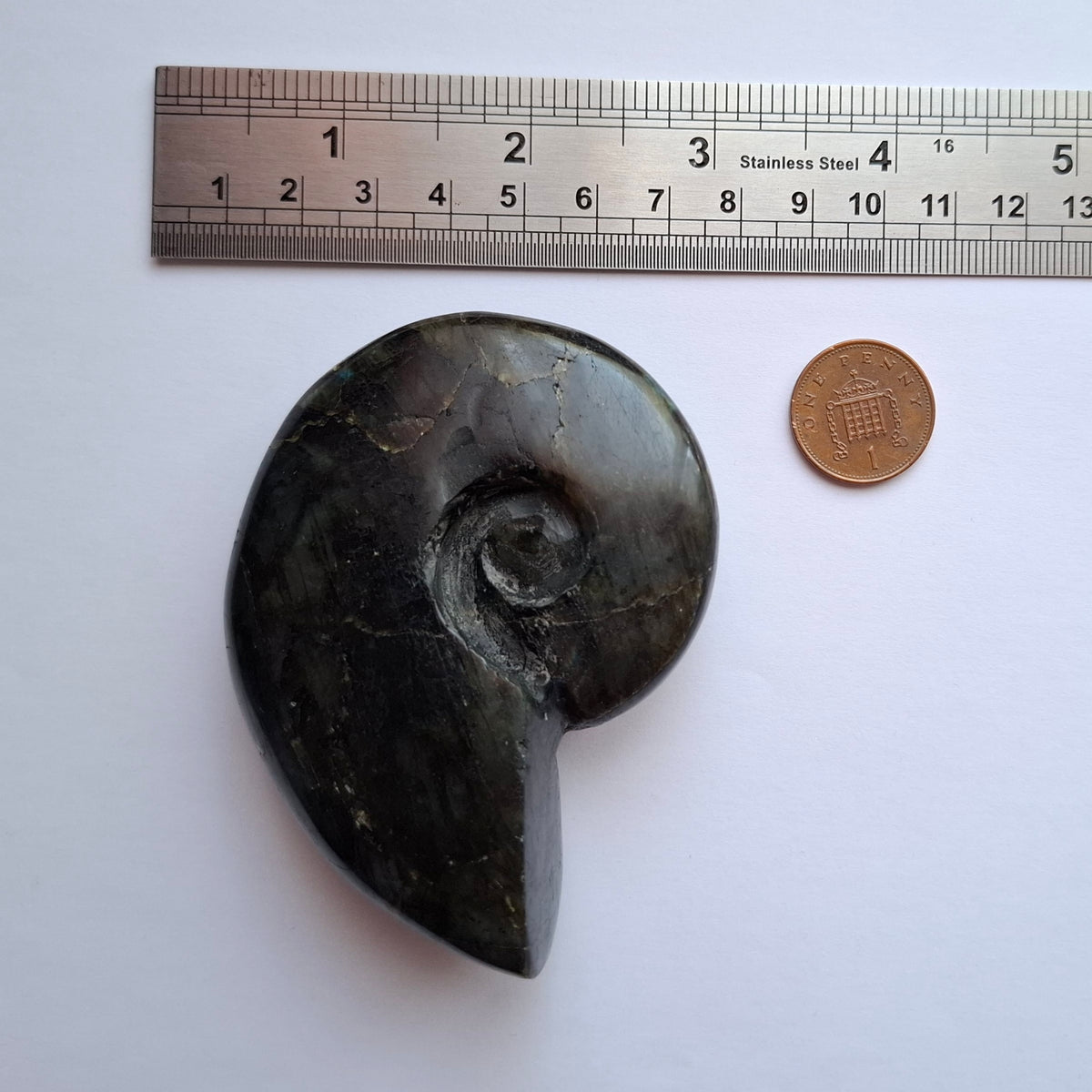 Labradorite Ammonite Carving, 153.97g, Crystal (Ref: laba2)