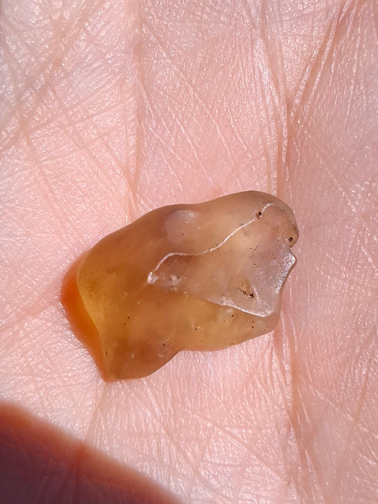 Libyan Desert Glass (darker) Piece, 0.95g, Tektite (Ref: L1363)