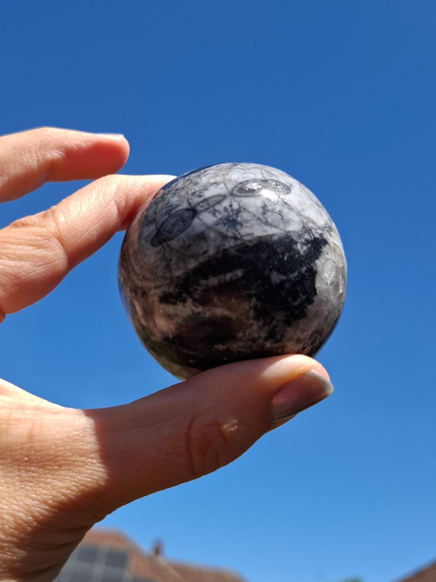Orthoceras Sphere, Fossil (Ref: OS2)