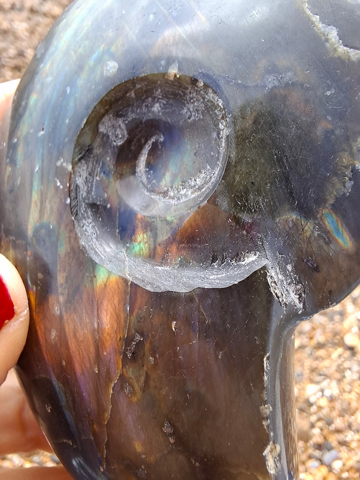 Labradorite Ammonite Carving, 160.21g, Crystal (Ref: laba4)