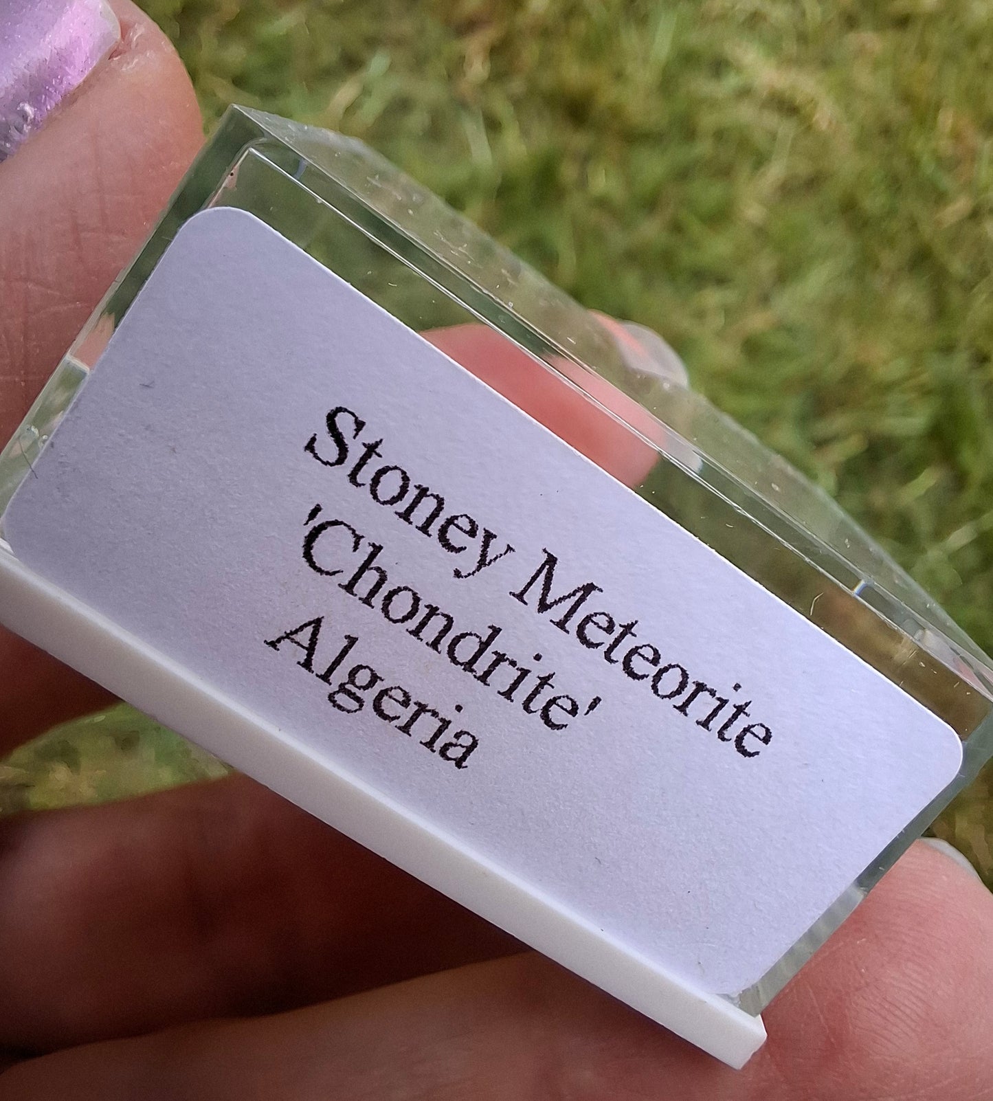 Chondrite, Meteorite (Ref: CM10)