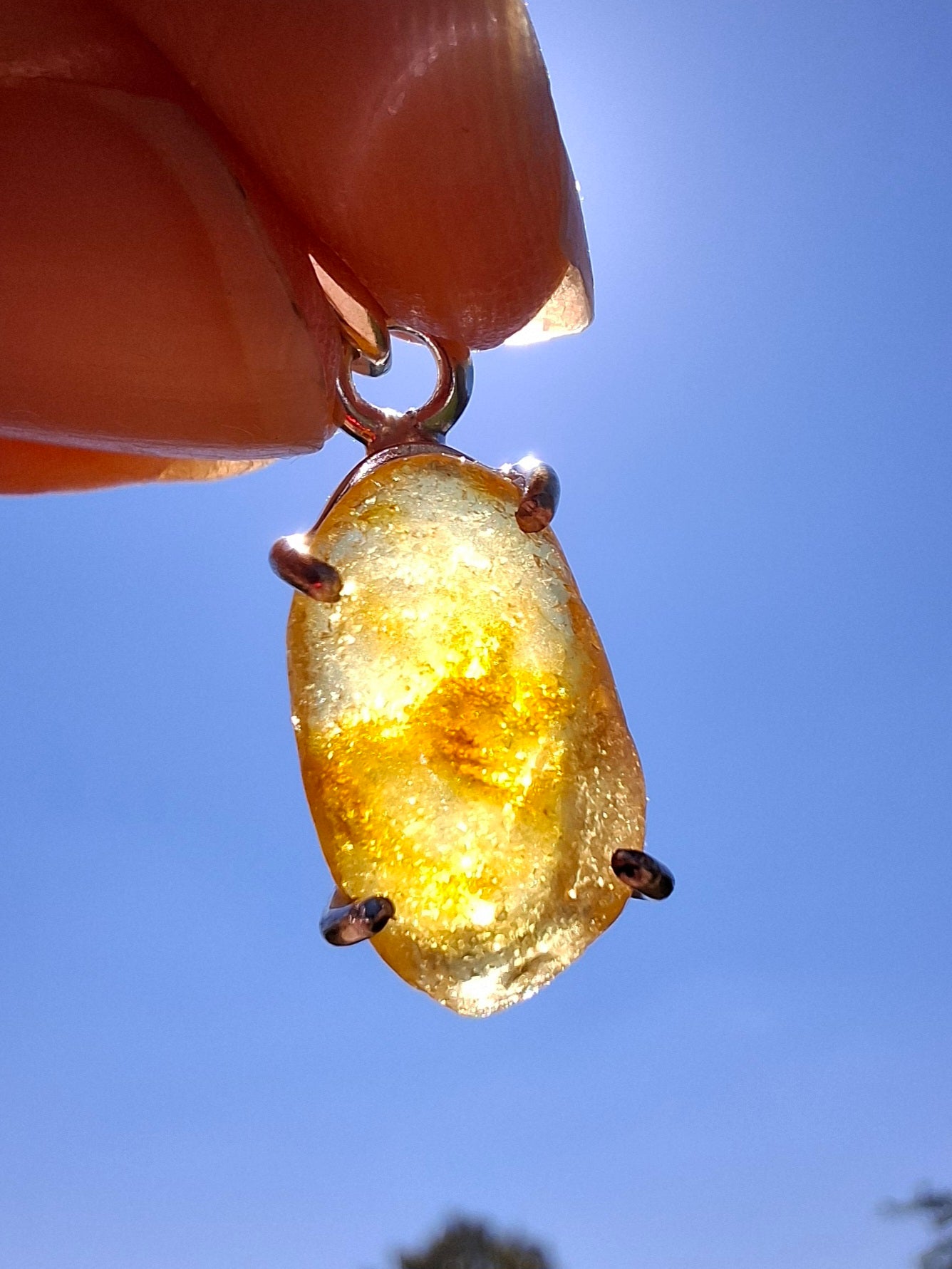 Baltic Amber Pendant, 925 Silver, Fossil (Ref: AP23)