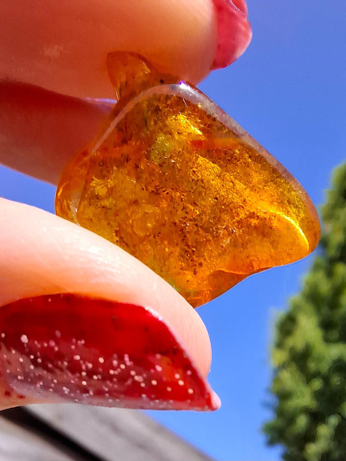 Baltic Amber, 1.58g, Fossil (Ref: A231)