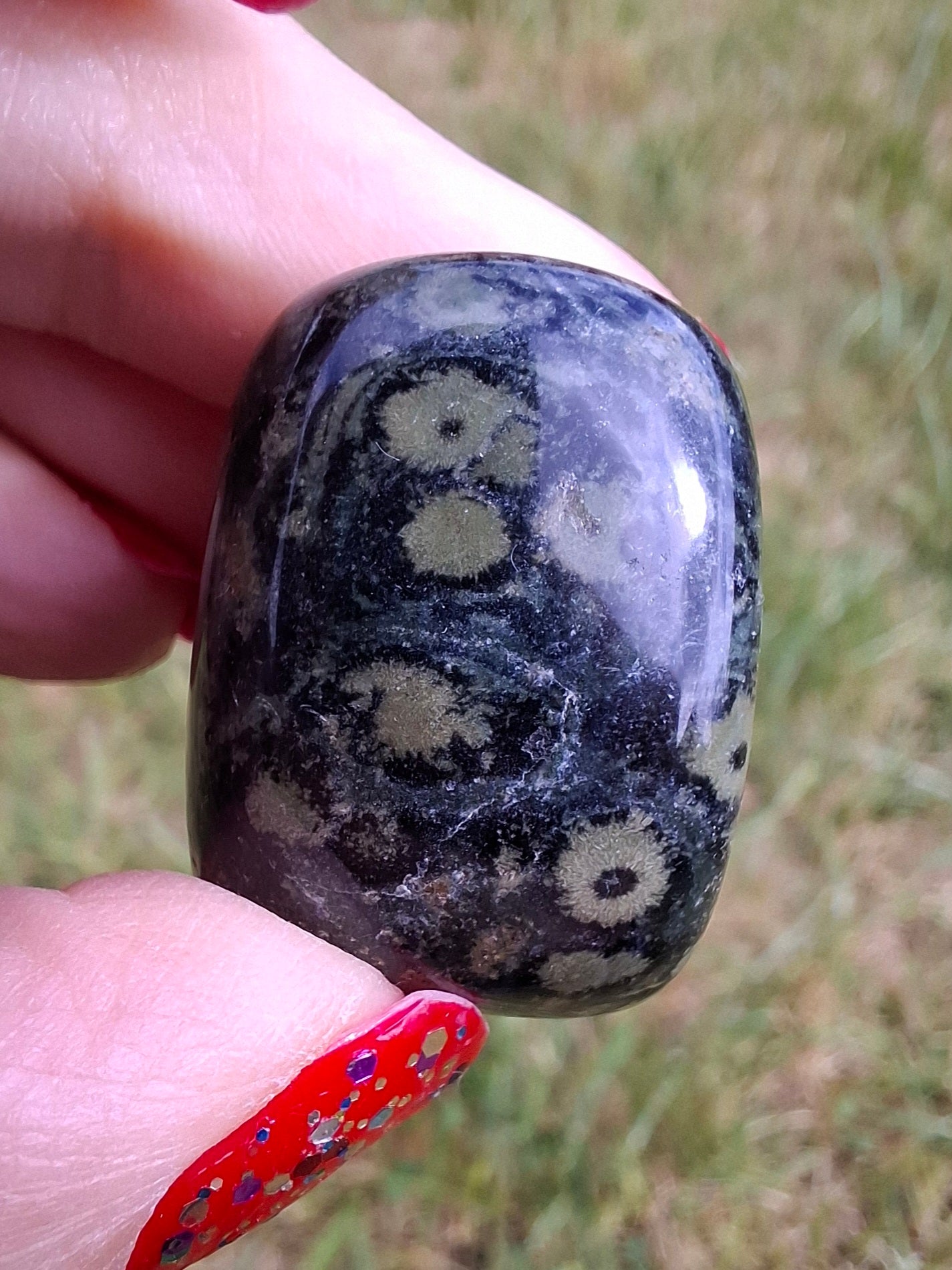 Kambaba Jasper, Tumble Stone, Crystal (Ref: T163)