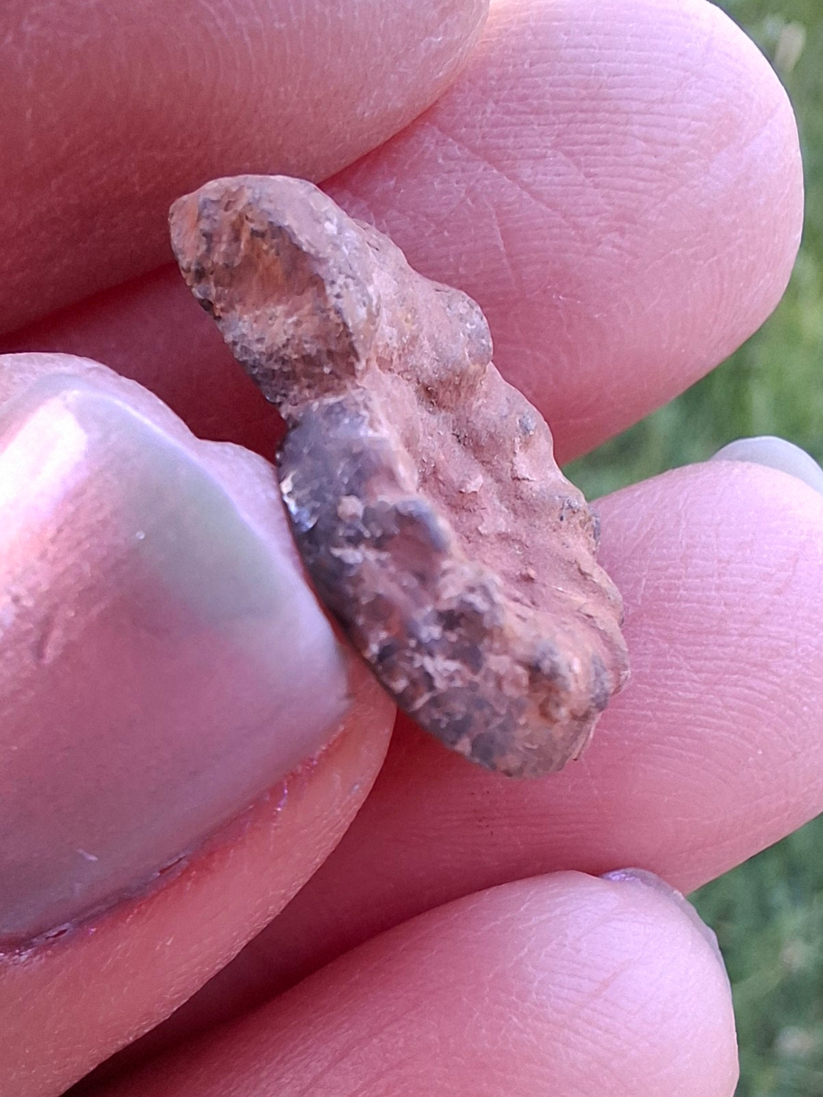 Small Haematite Ammonite HALF, 1.41g, Fossil (Ref: MA6)
