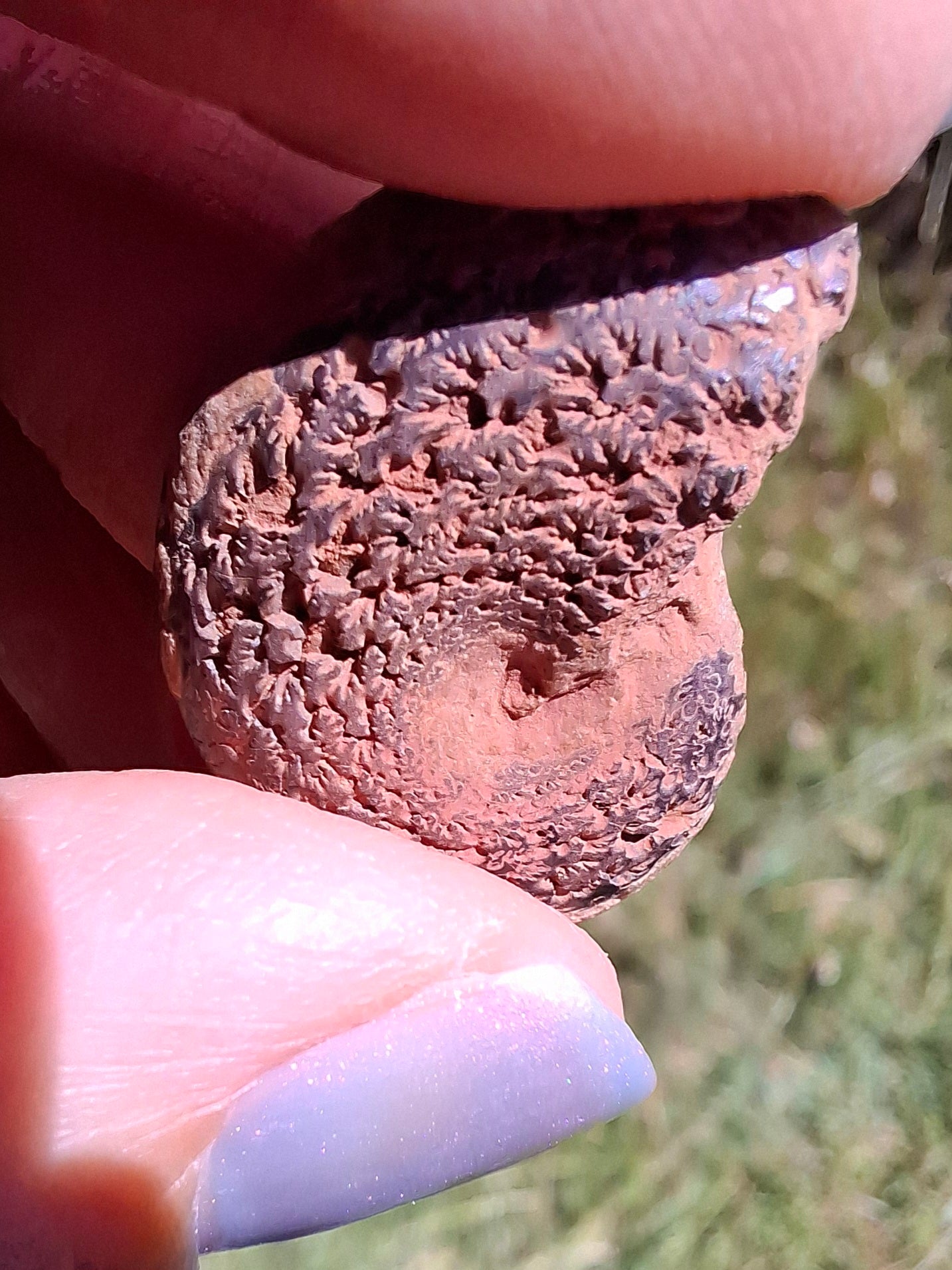 Small Haematite Ammonite HALF, 2.55g, Fossil (Ref: MA8)