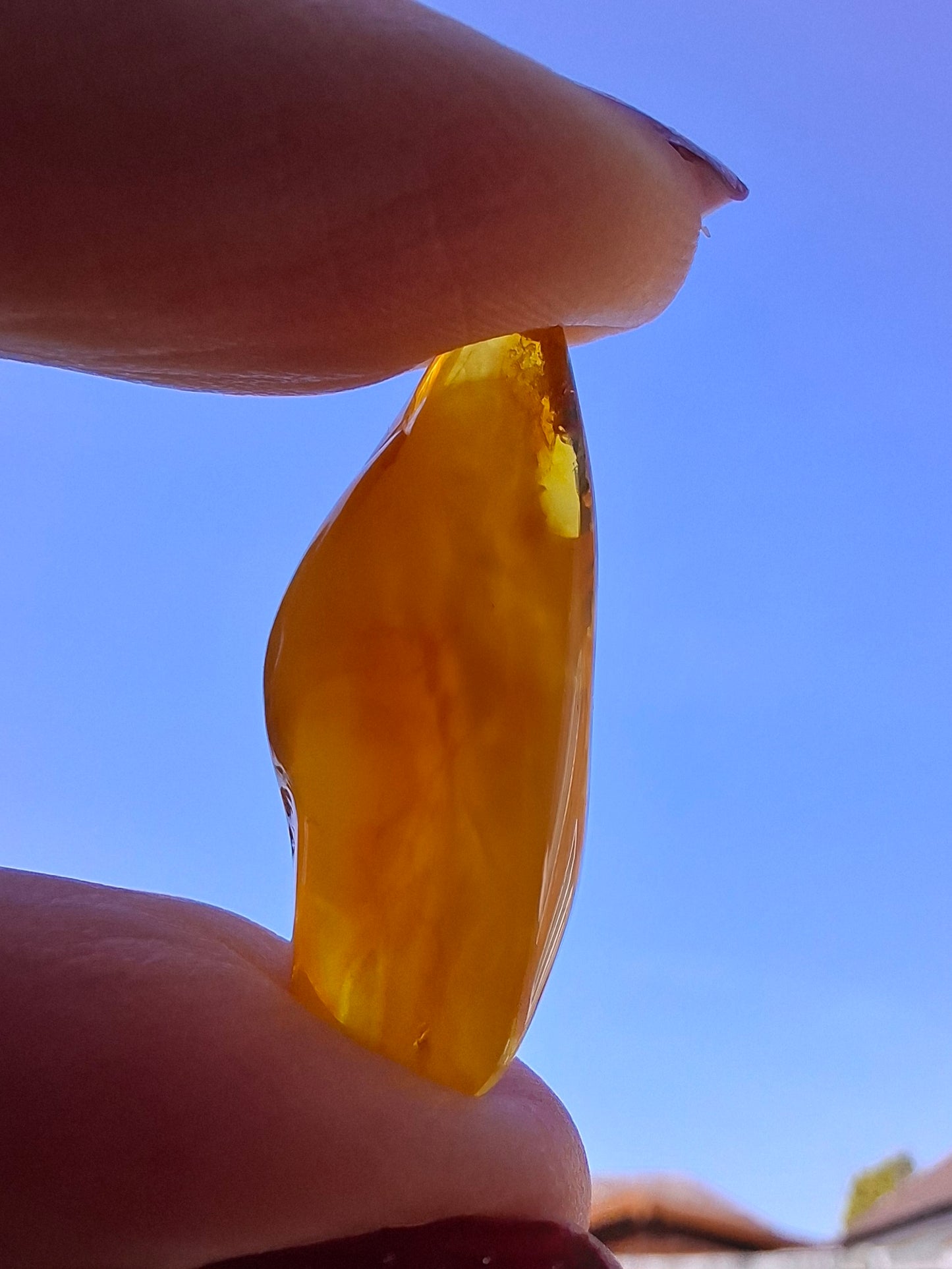 Baltic Amber, 1.68g, Fossil (Ref: A233)