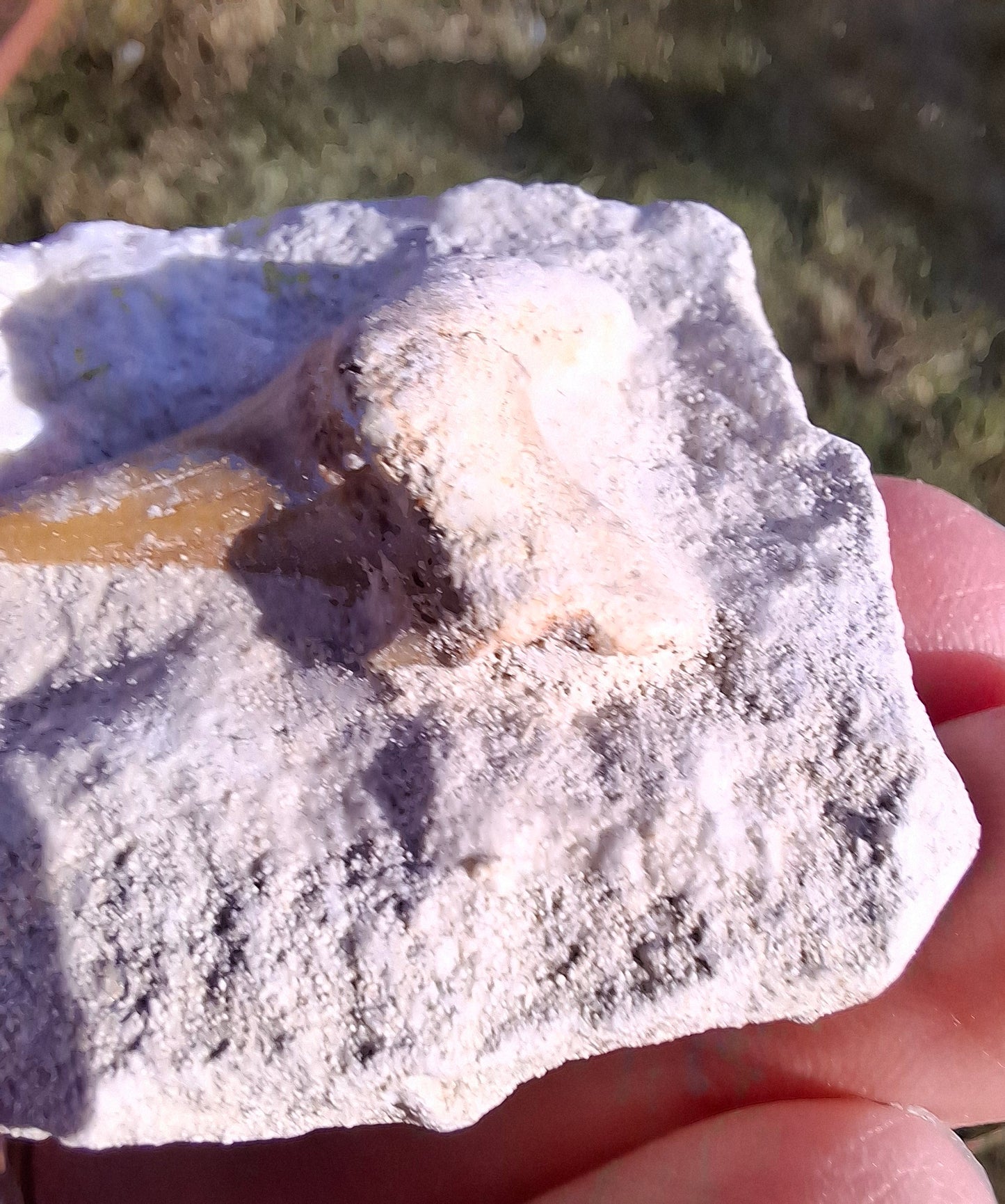 Otodus Shark Tooth in Rock, Fossil (Ref: OT2)