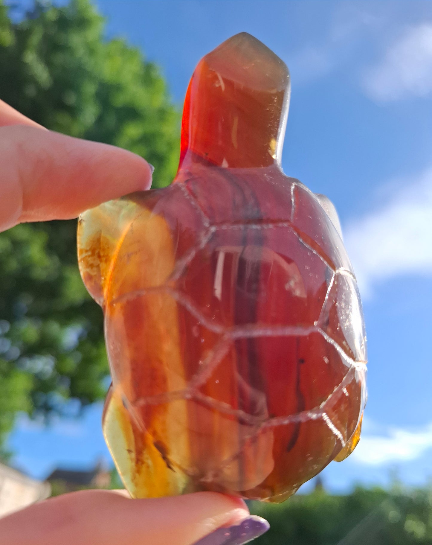 Red Amber Turtle, 49.15g, Carving, Fossil (Ref: TT1)