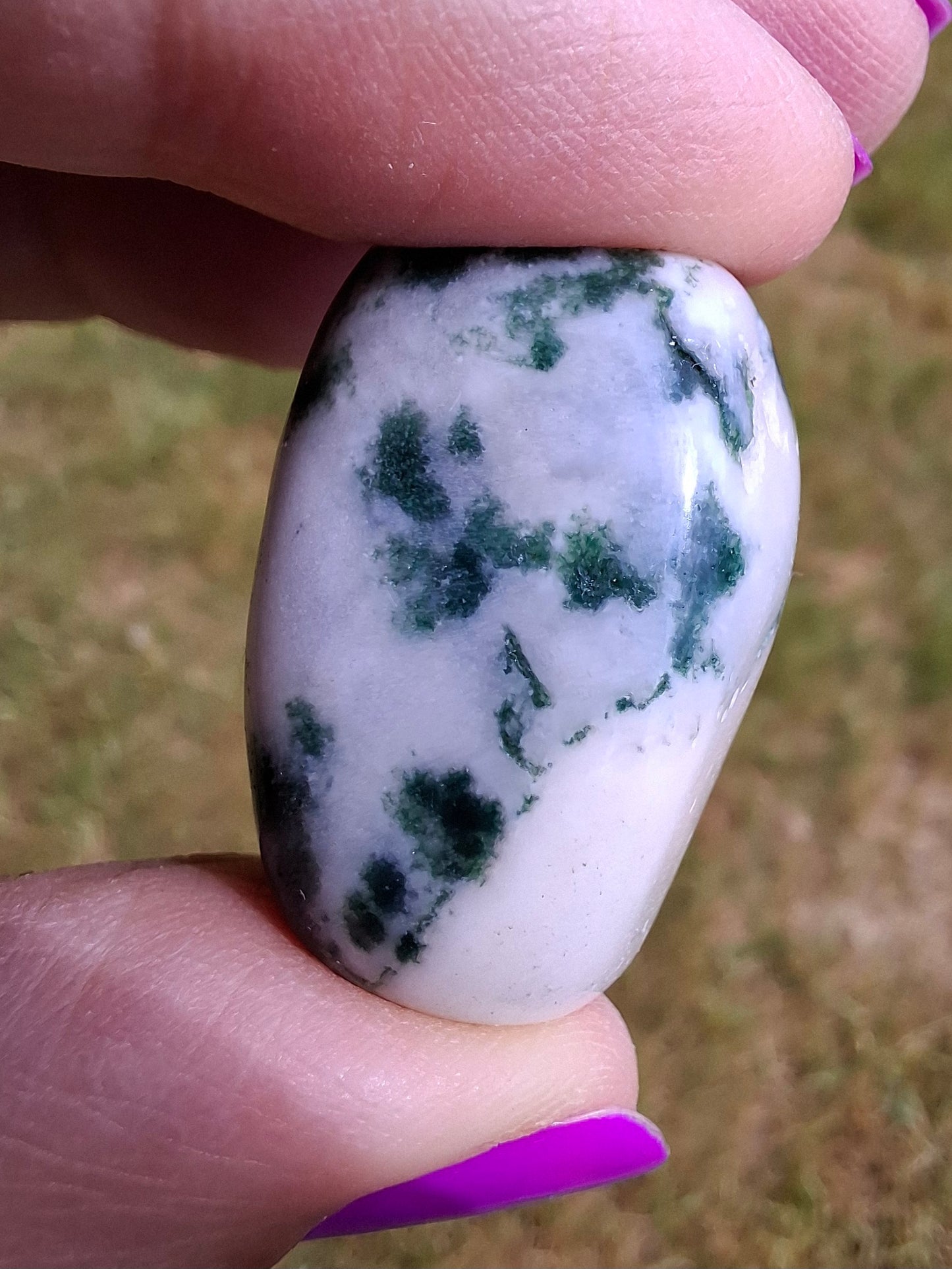 Tree Agate, Tumble Stone, Crystal (Ref: T1)