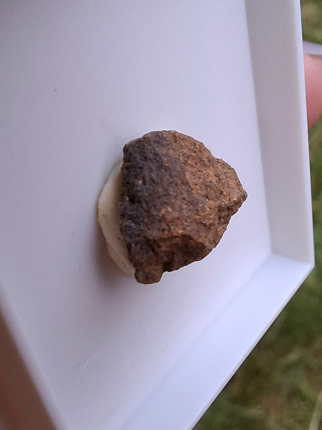 Chondrite, Meteorite (Ref: CM9)