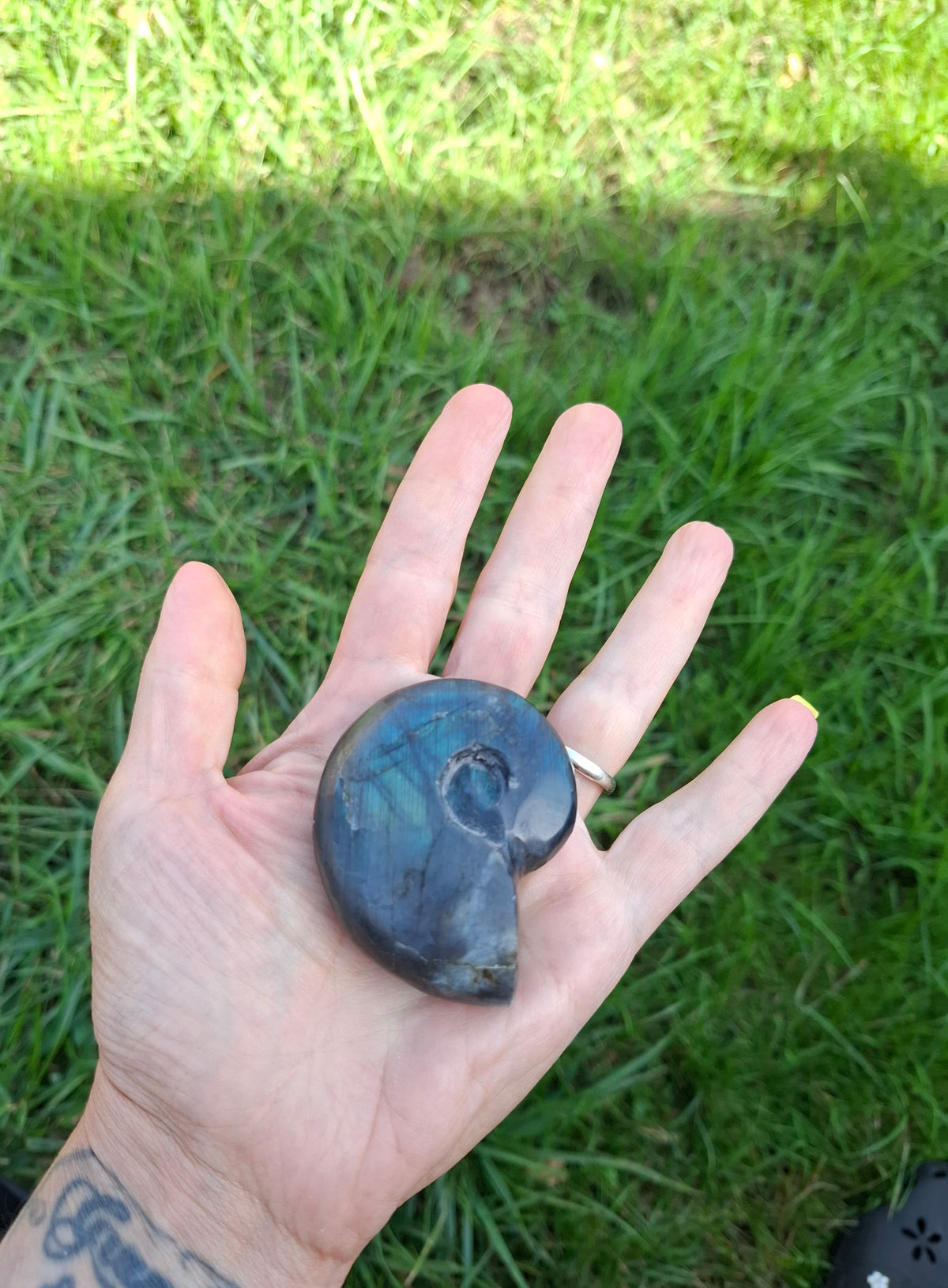 Labradorite Ammonite Carving, 111.66g, Crystal (Ref: laba3)