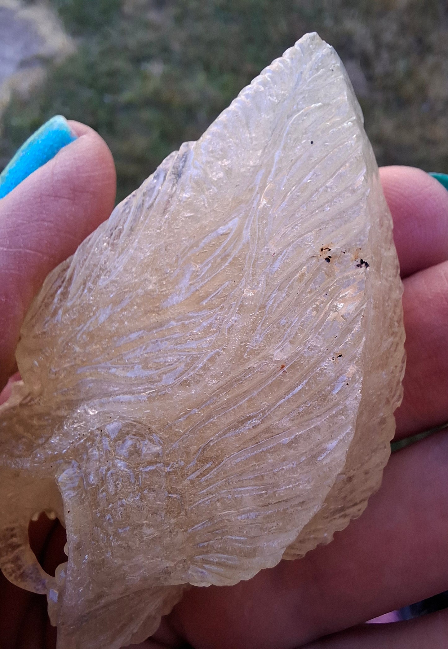 Libyan Desert Glass DRAGON HEAD Carving, 75.84g, Tektite (Ref: Dragon1)