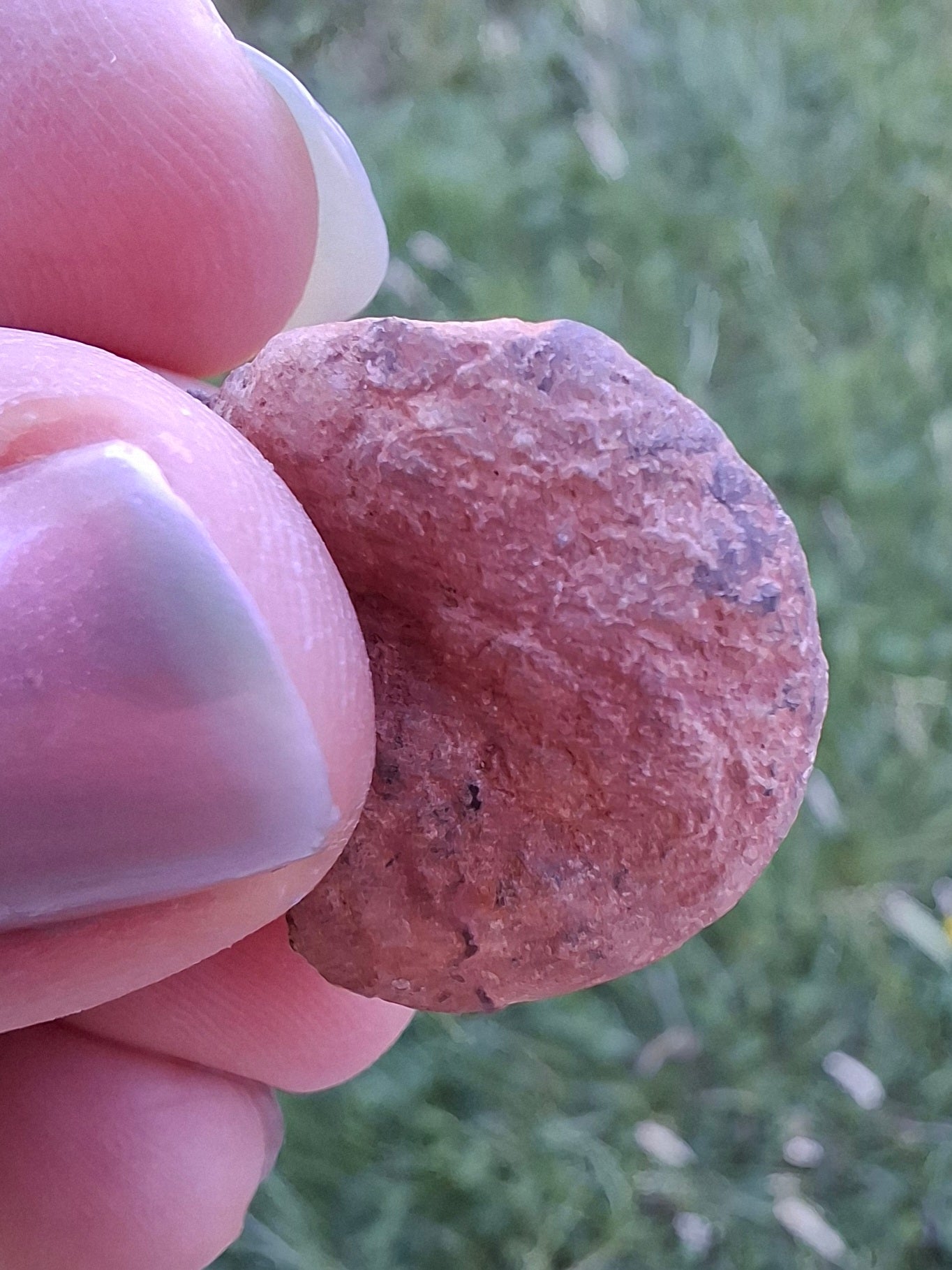 Small Haematite Ammonite HALF, 2.59g, Fossil (Ref: MA7)