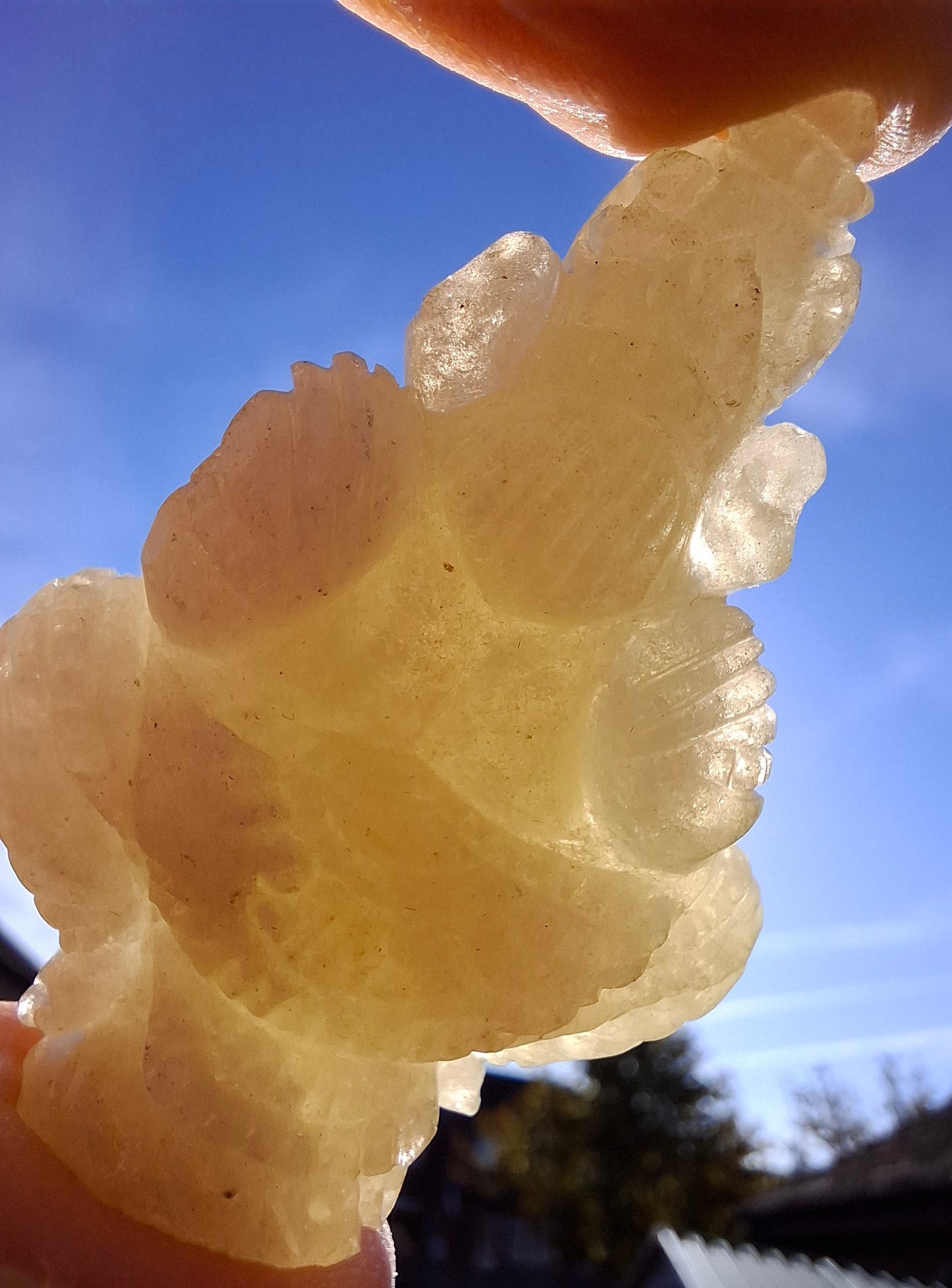 Libyan Desert Glass GANESHA craving, 31.21g, Tektite (Ref: Ganesha2)
