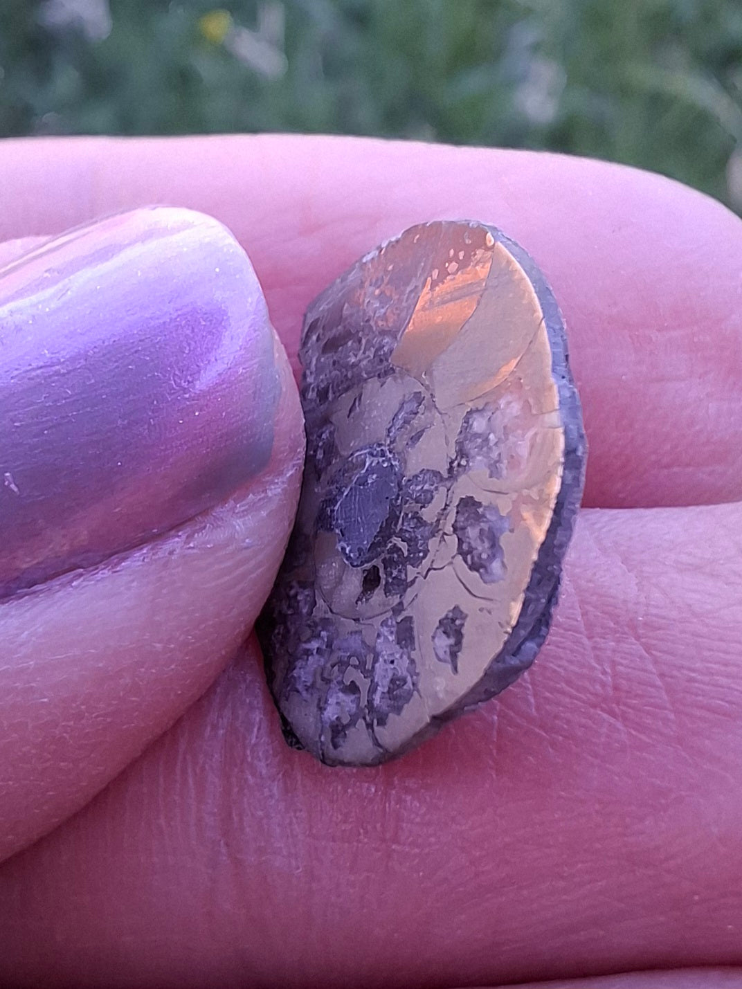 Small Haematite Ammonite HALF, 1.10g, Fossil (Ref: MA9)