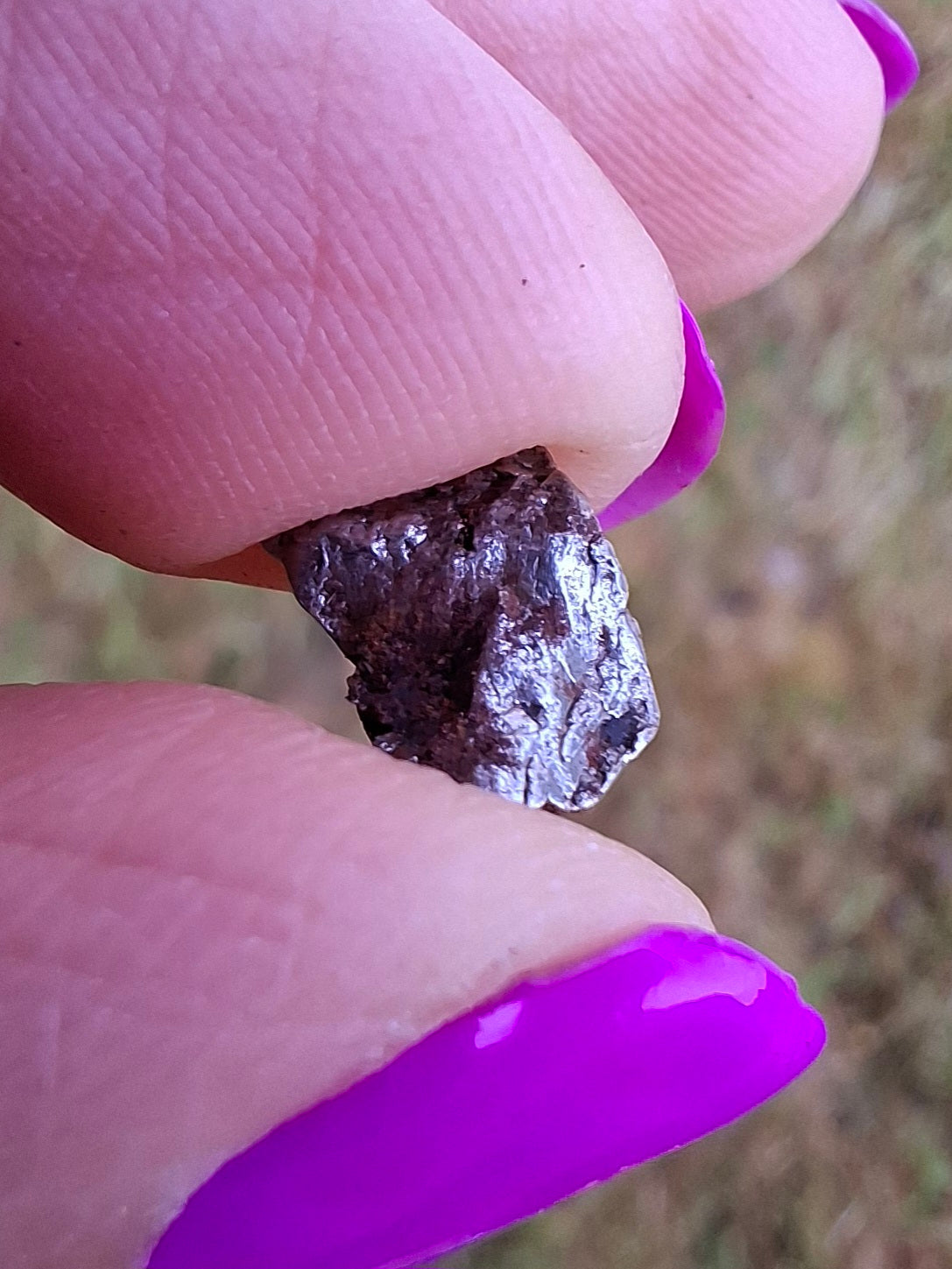 Campo del Cielo, 1.20g, Nickel Iron Meteorite (Ref: C12)