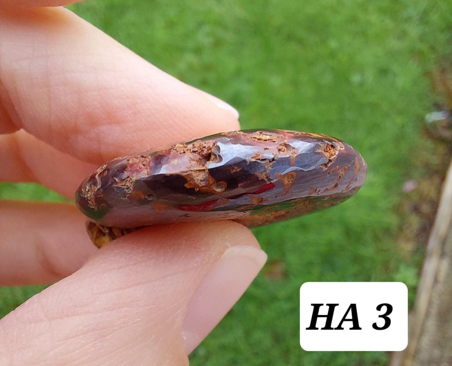 Hematite Ammonite, 16.00g, Fossil (Ref: HA3)