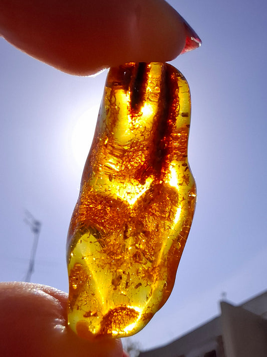 Baltic Amber, 2.95g, Fossil (Ref: A159)