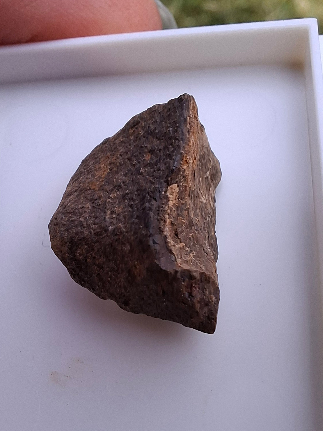 Chondrite, Meteorite (Ref: CM8)