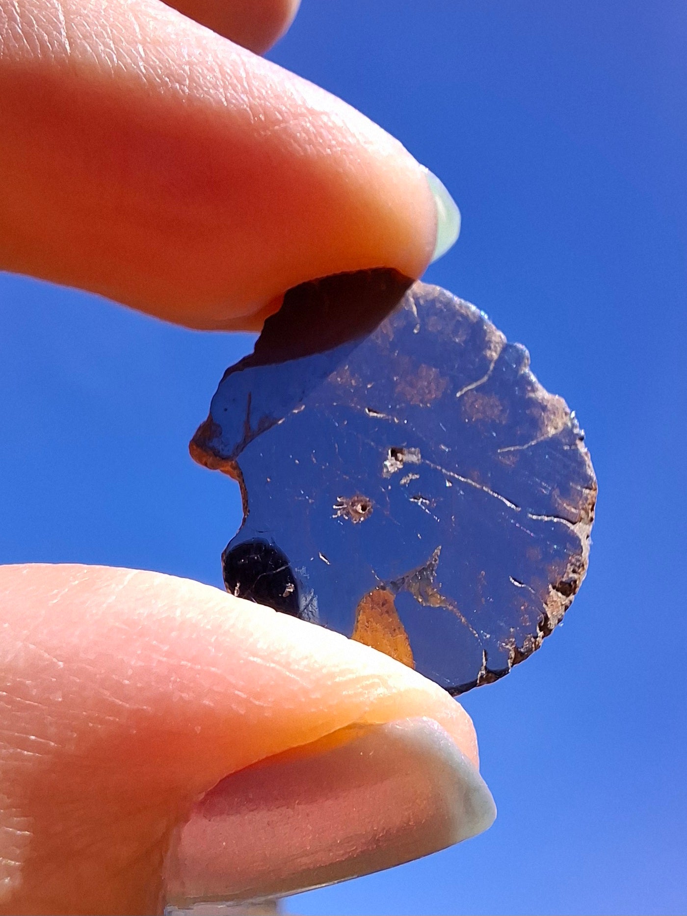 Small Haematite Ammonite Halves BUNDLE, (7 pcs), Fossil (Ref: MA13)