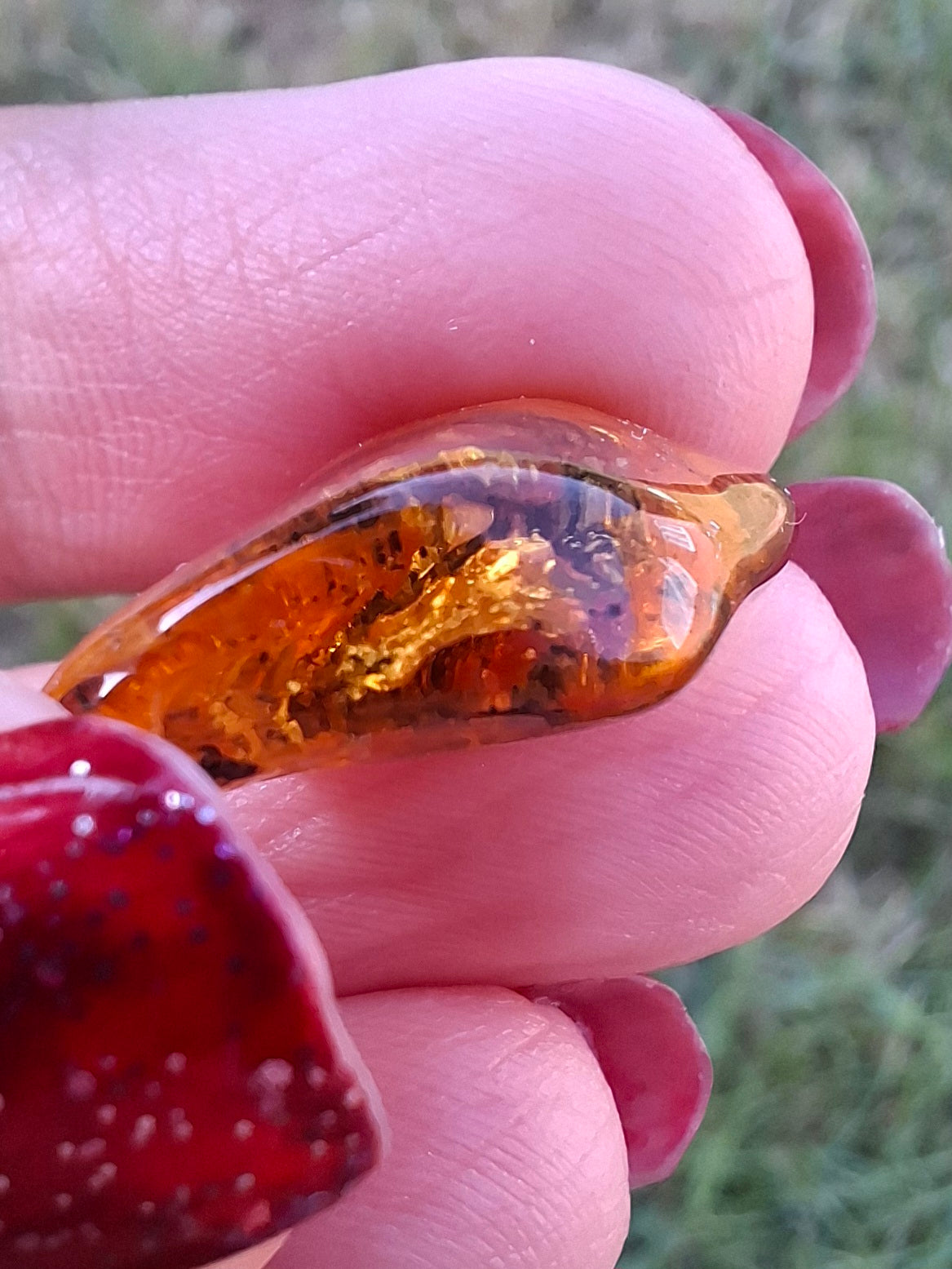 Baltic Amber, 1.13g, Fossil (Ref: A241)