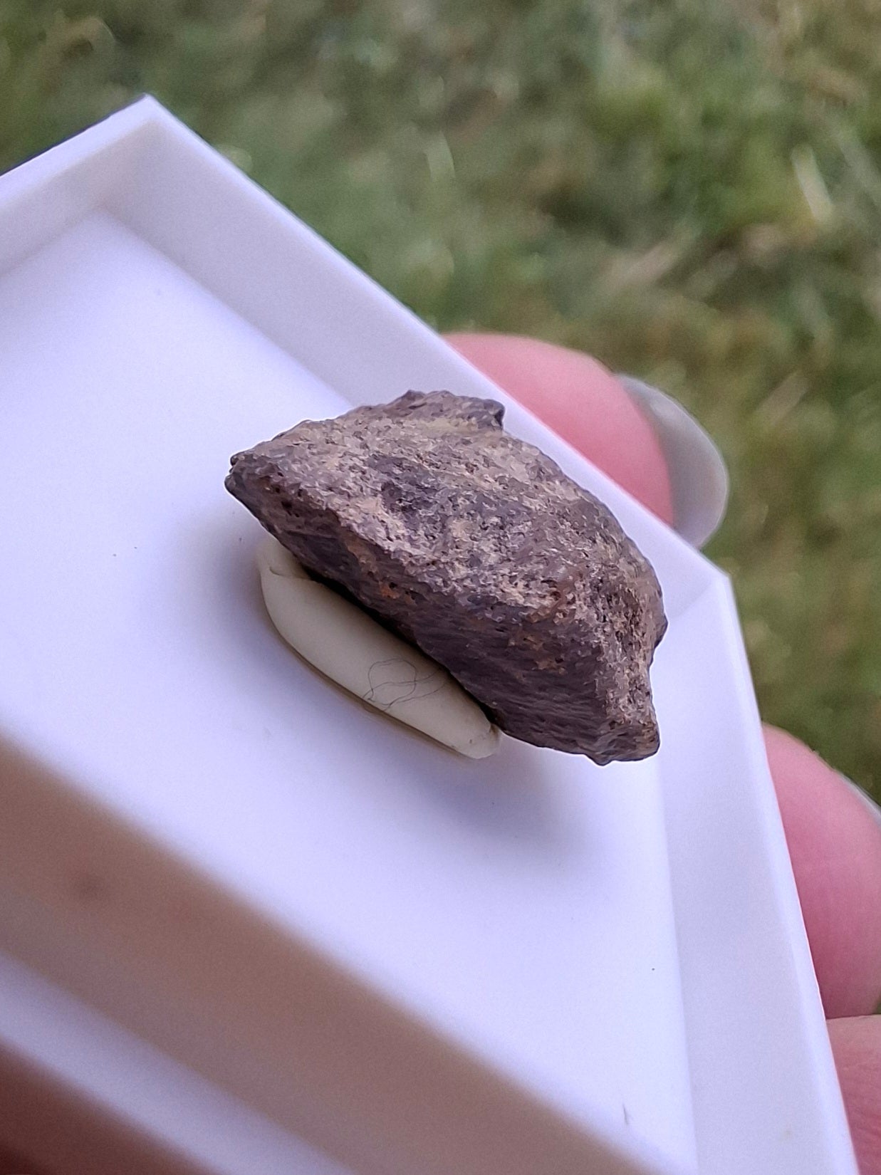Chondrite, Meteorite (Ref: CM6)