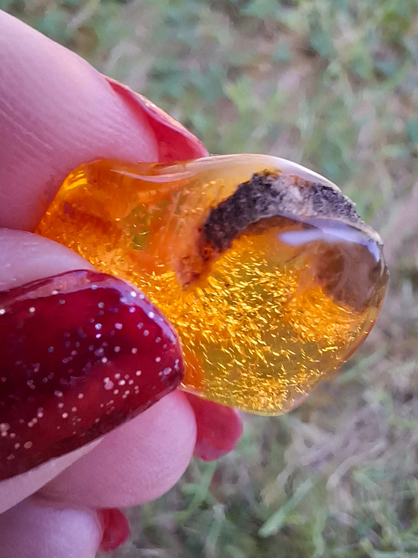 Baltic Amber, 1.45g, Fossil (Ref: A76)