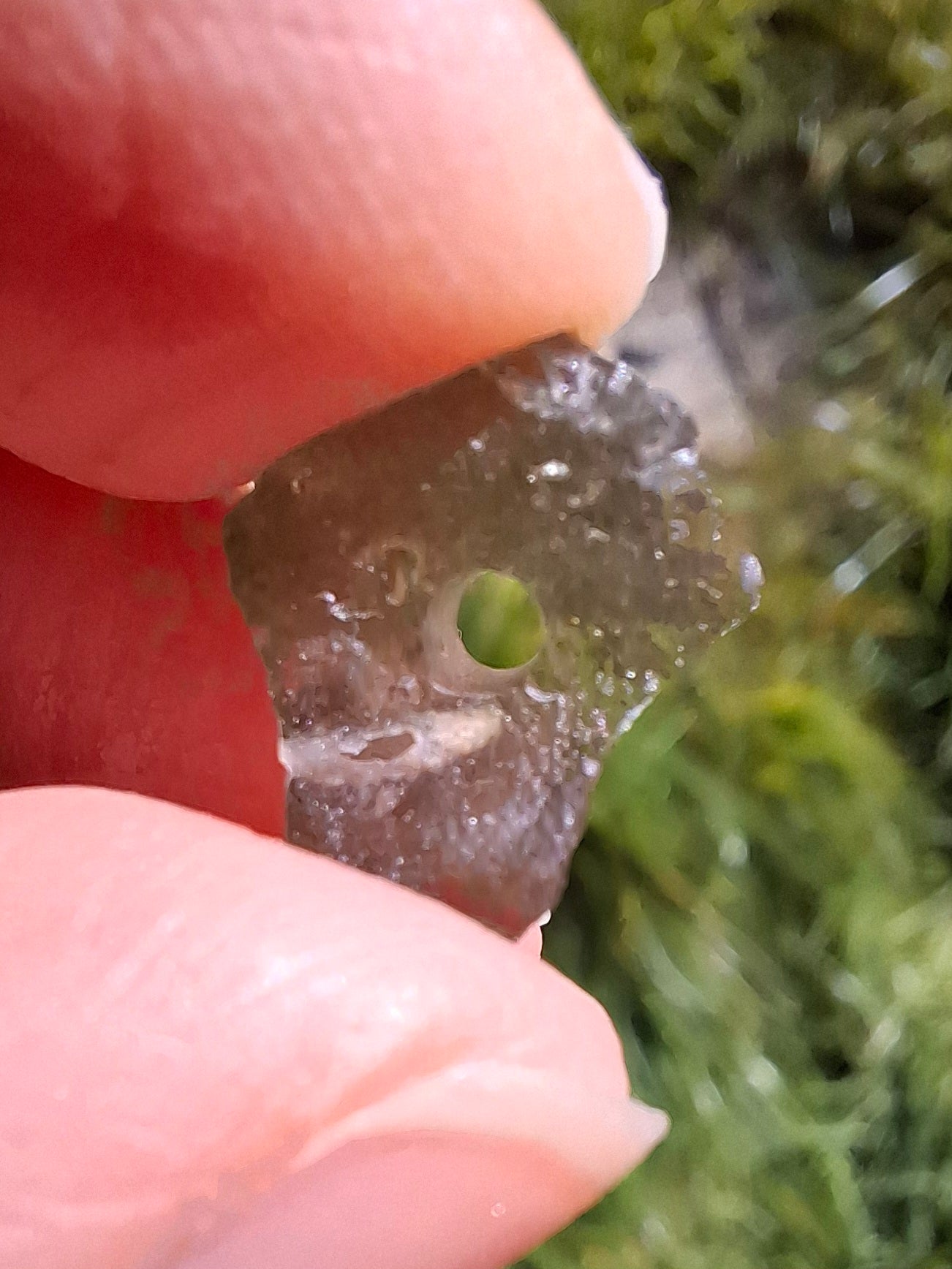 DRILLED Moldavite Piece, 1g, Tektite (Ref: D12)