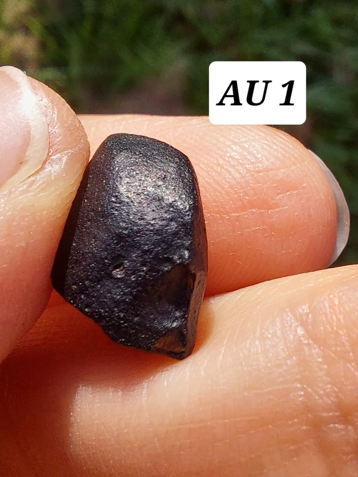 Australite, 1.54g, Tektite (Ref: AU1)