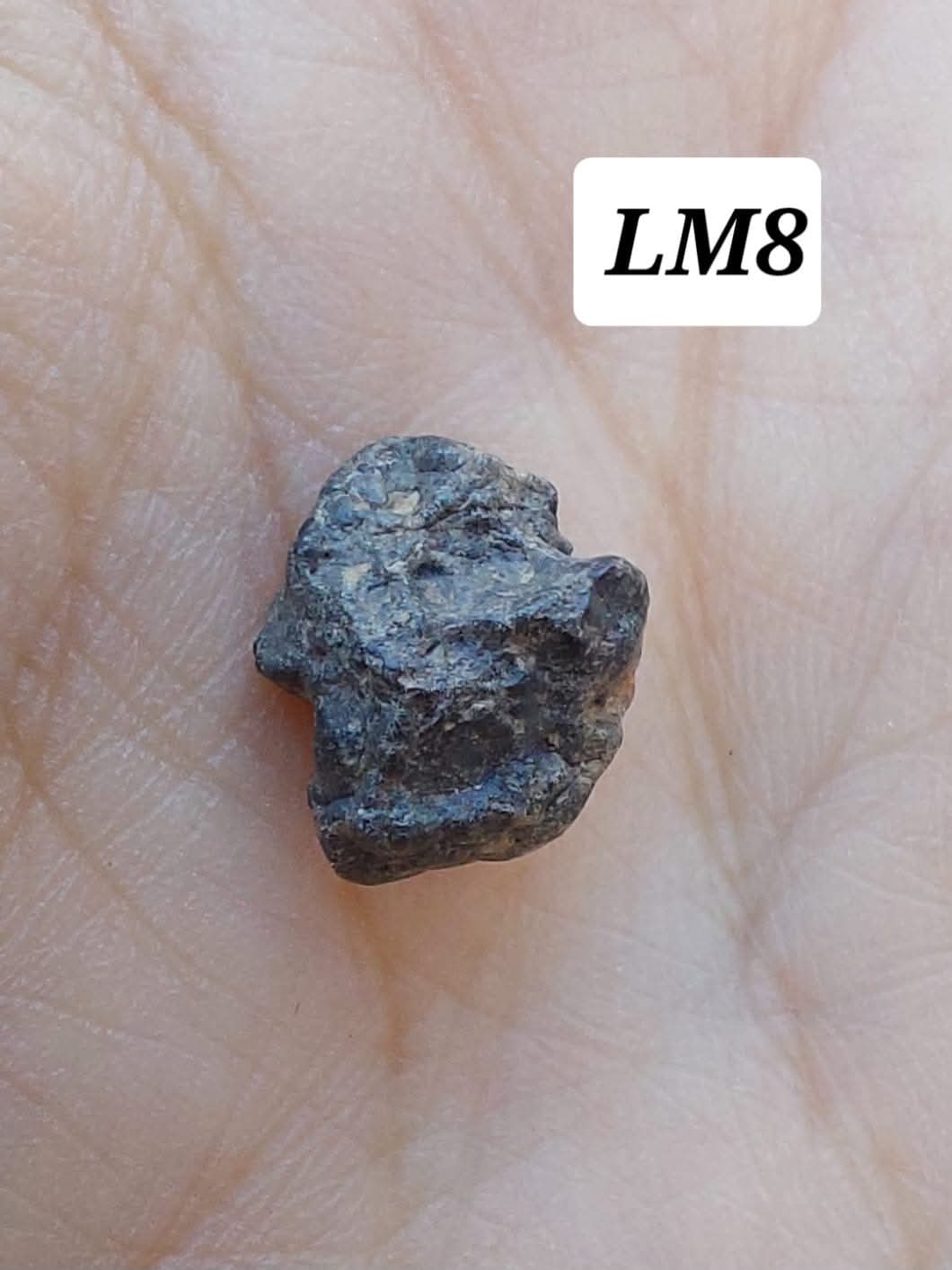 Lunar Meteorite, 0.55g, 'Moon Rock' (Ref: LM8)