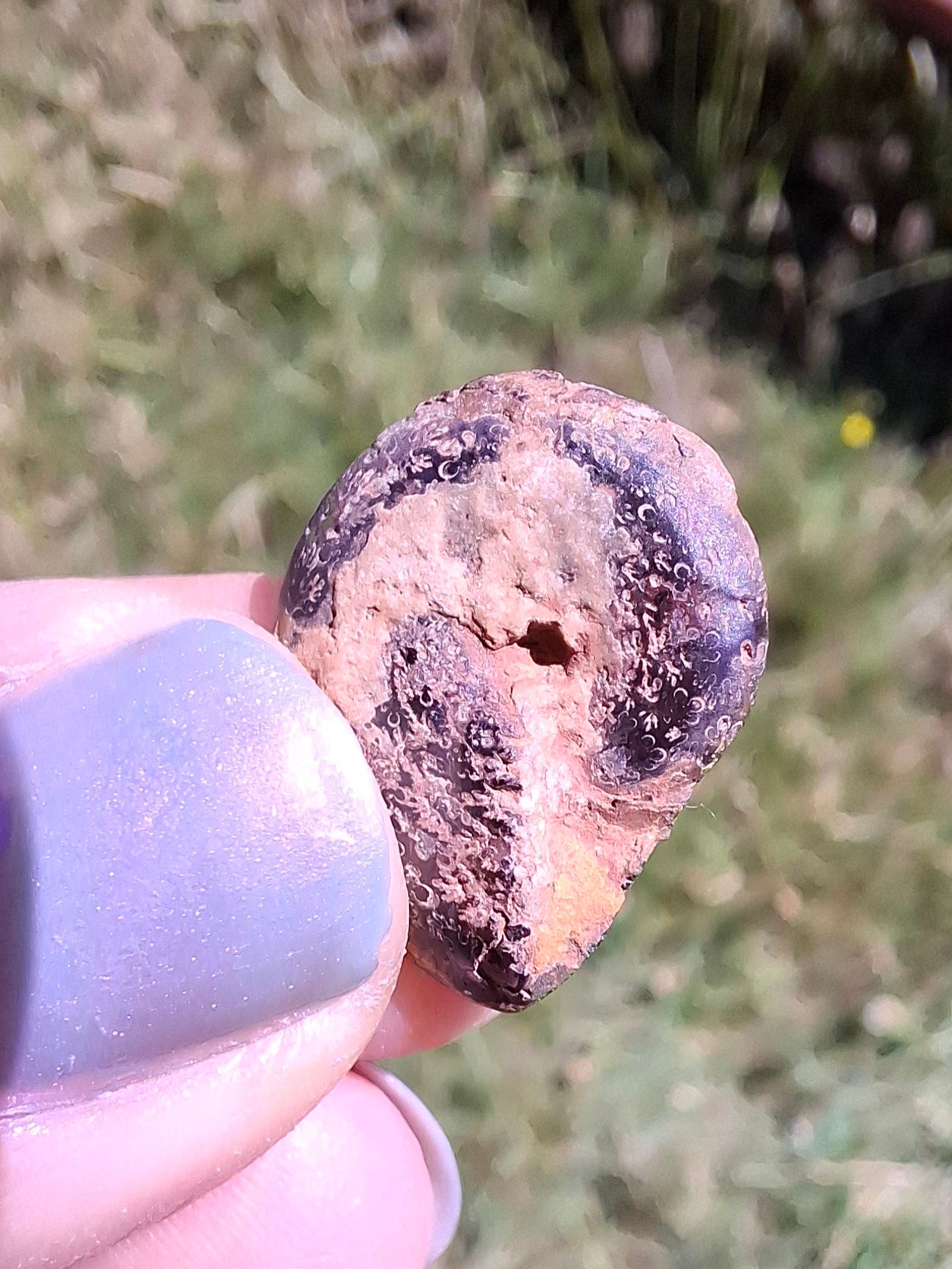 Small Haematite Ammonite HALF, 1.36g, Fossil (Ref: MA12)
