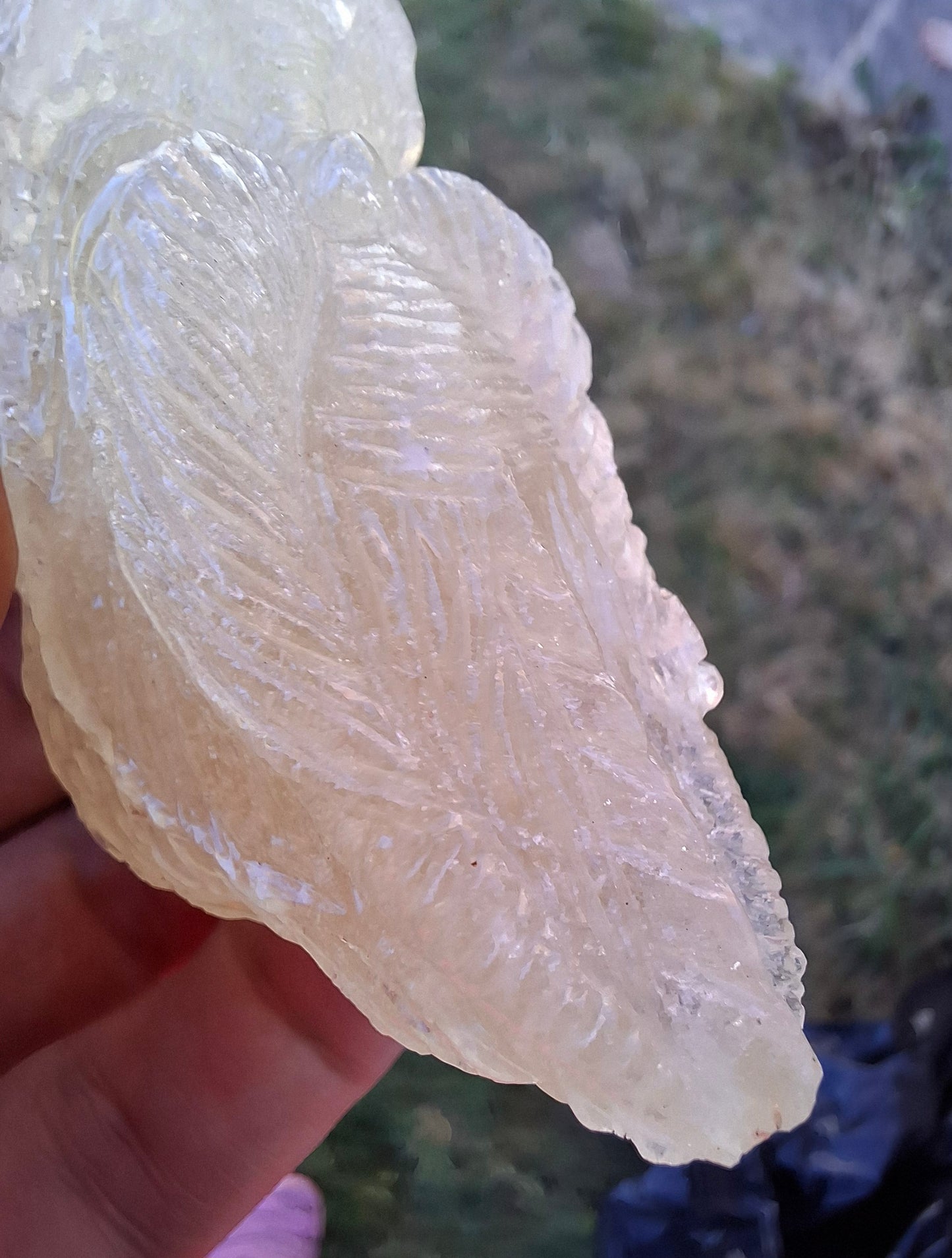 Libyan Desert Glass DRAGON HEAD Carving, 75.84g, Tektite (Ref: Dragon1)